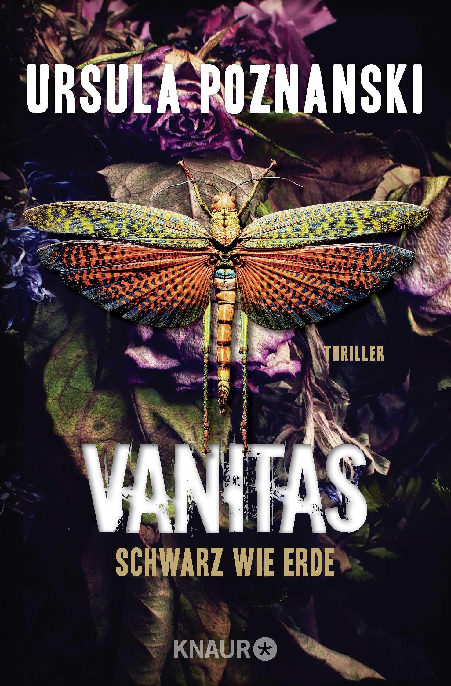 Vanitas - Schwarz wie Erde: Thriller