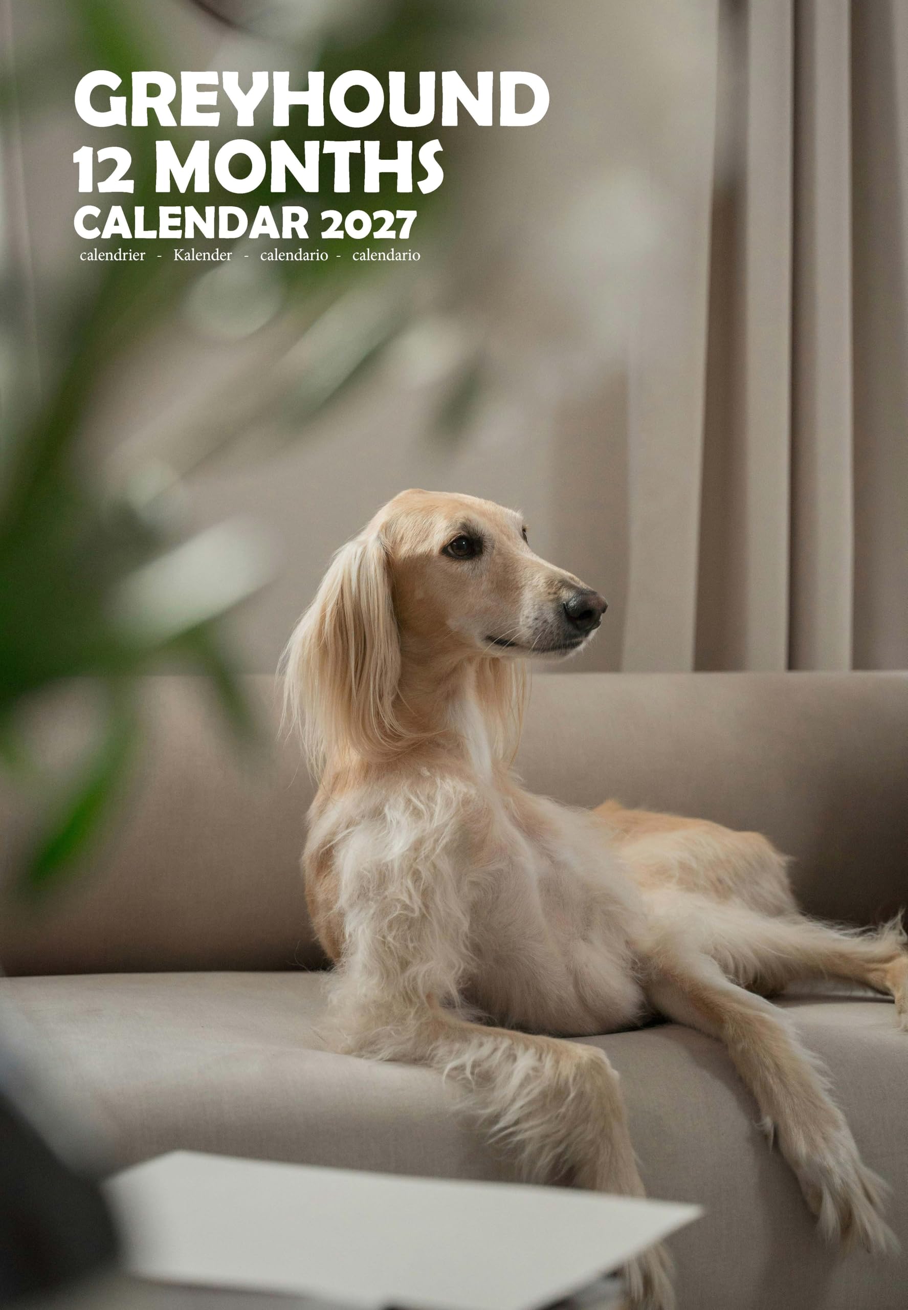 Calendario 2027 de perro galgo tamaño A3 con espiral y páginas a todo color MPRA 3