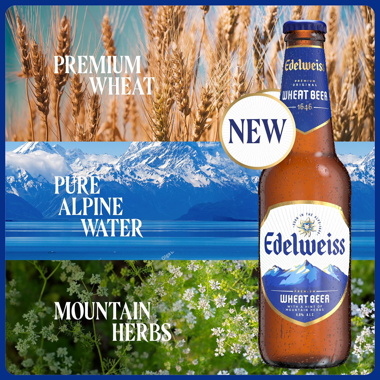 Edelweiss Beer ubicaciondepersonas.cdmx.gob.mx