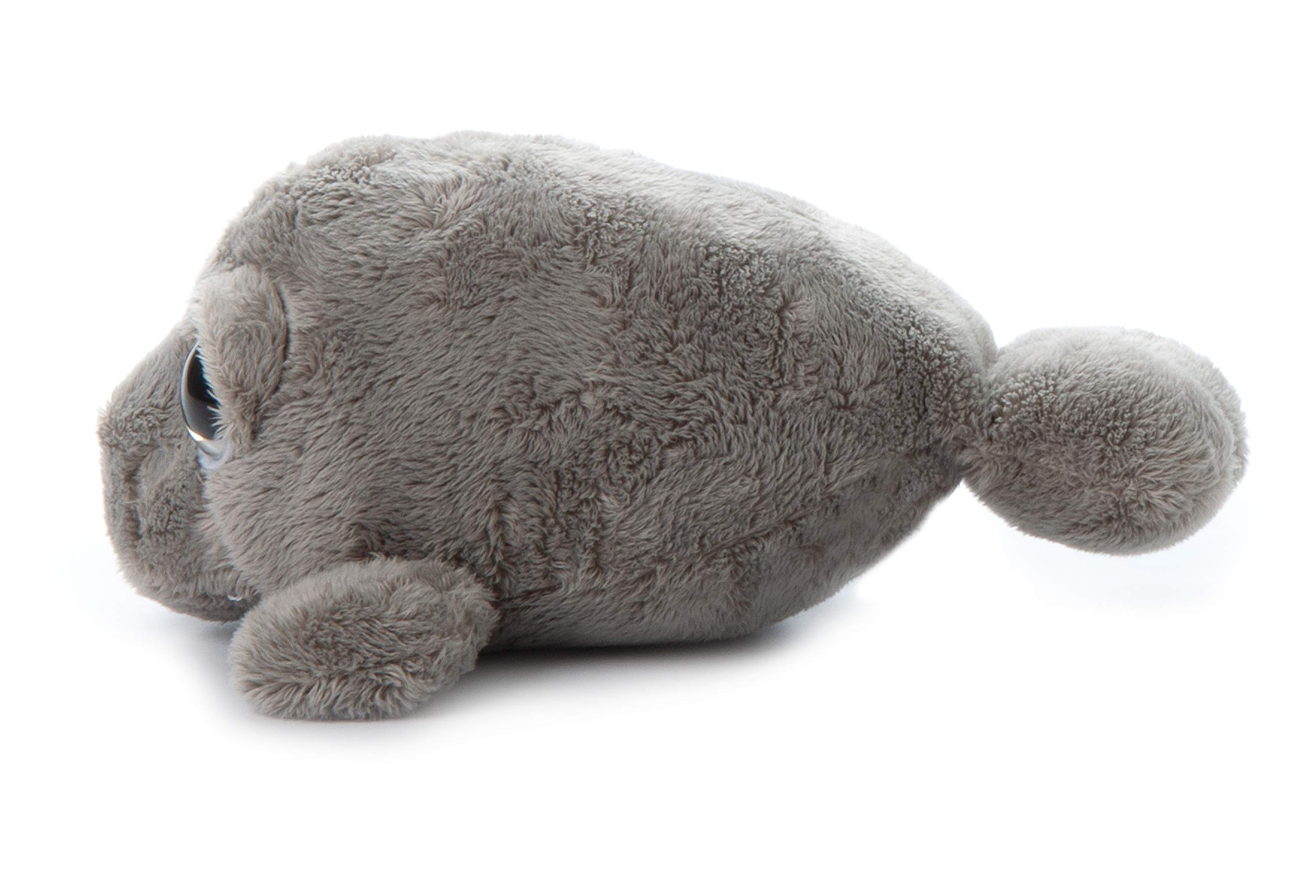 manatee teddy