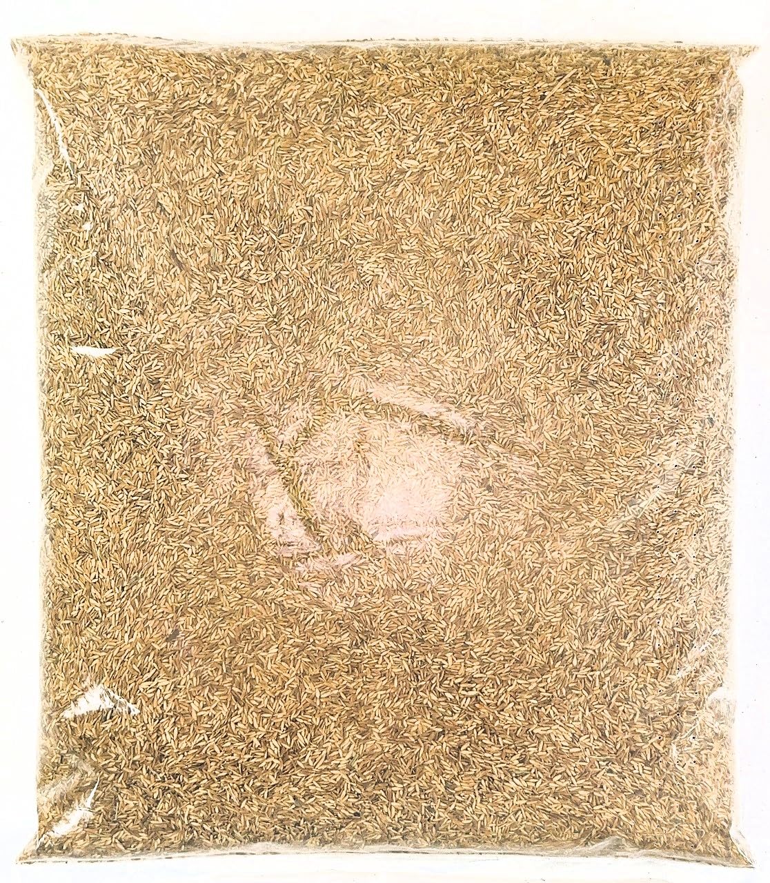 Amazon.co.jp: ノシバ種子 品種名：コンパドレ 500g : DIY・工具・ガーデン