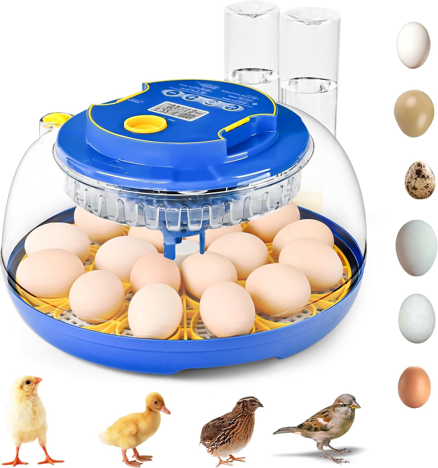 18-36 Eggs Incubators for Hatching Eggs with Automatic Egg Turning and Humidity Control, for Chicken, Duck, Quail, Goose, Parrot Eggs - 360° View for Farm, Classroom, Home Use