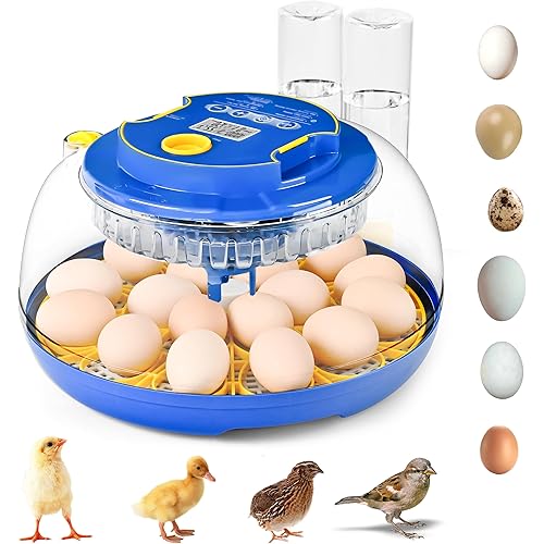 18-36 Eggs Incubators for Hatching Eggs with Automatic Egg Turning and Humidity Control, for Chicken, Duck, Quail, Goose, Parrot Eggs - 360° View for Farm, Classroom, Home Use