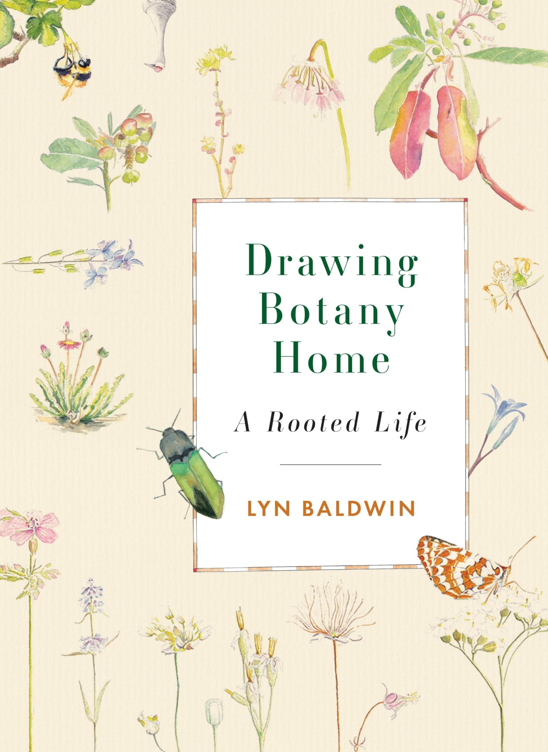 Drawing Botany Home: A Rooted Life, Baldwin 9781771605922 Fast Free Shipping+-