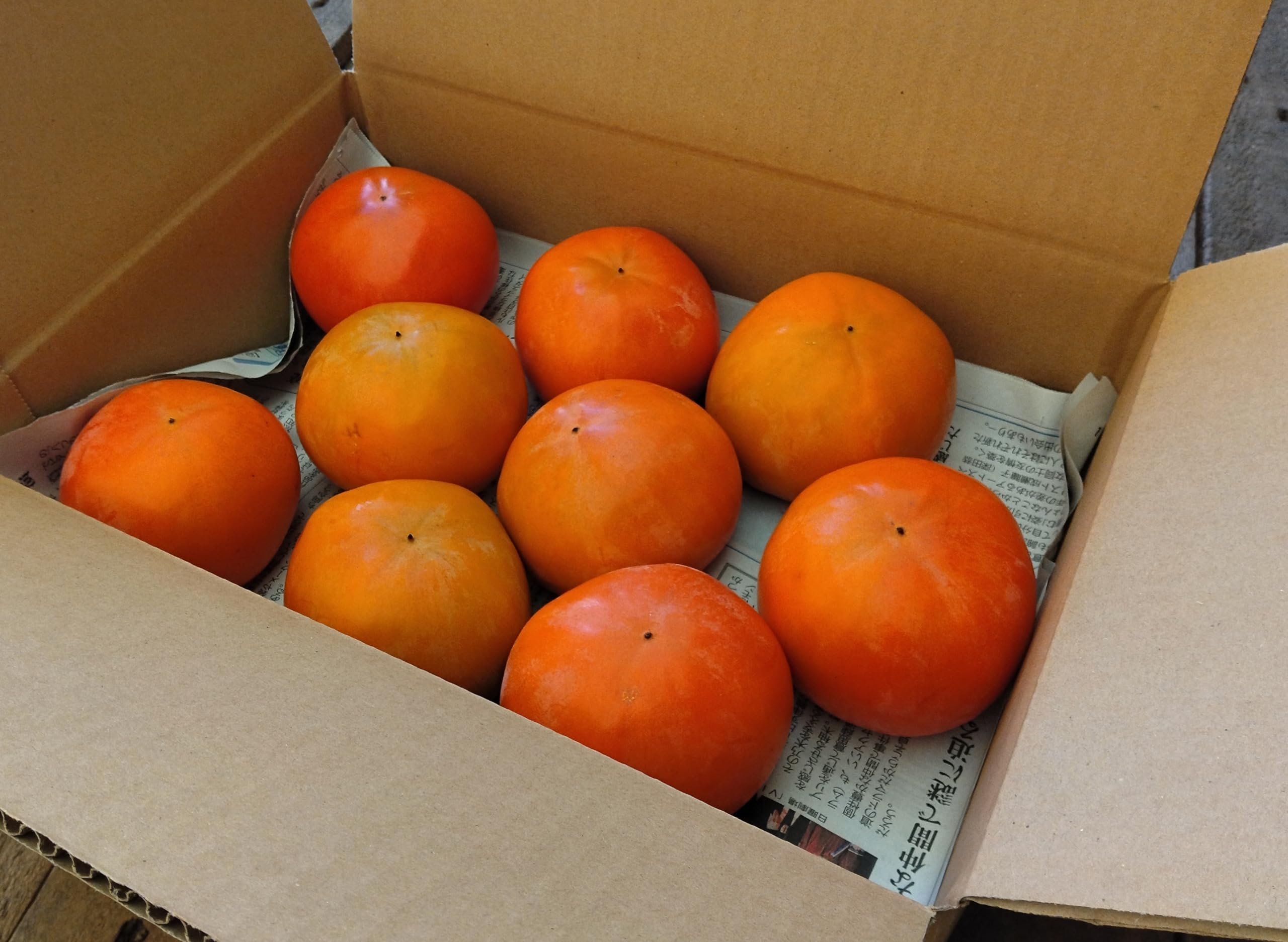 Amazon.co.jp: 富有柿・早生富有柿 福岡県・九州各県産 1ケース 約2.5