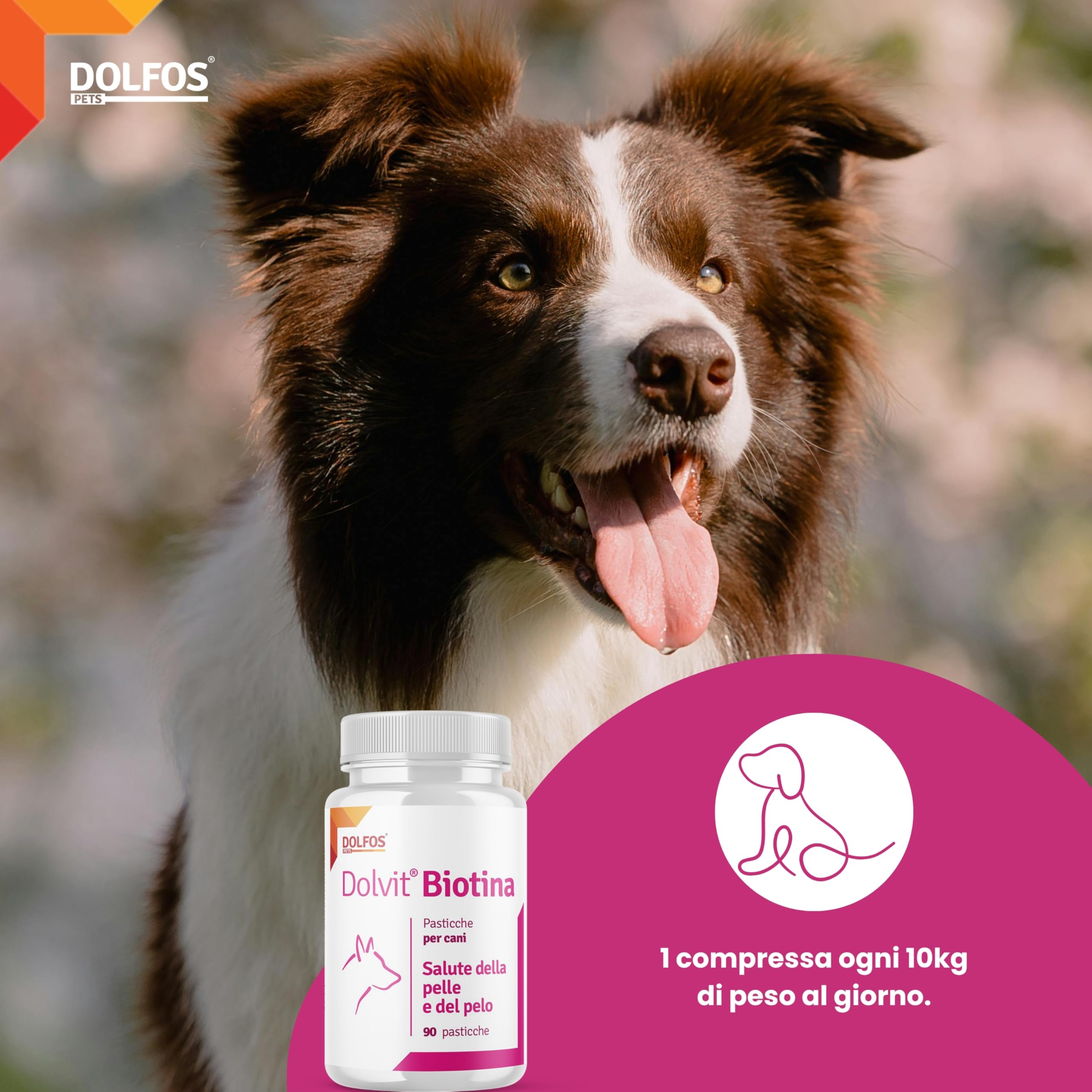 Dolfos Dolvit Biotina - Integratore per il pelo e la Pelle del Cane - Cura la perdita del pelo - Favorisce la lucidità