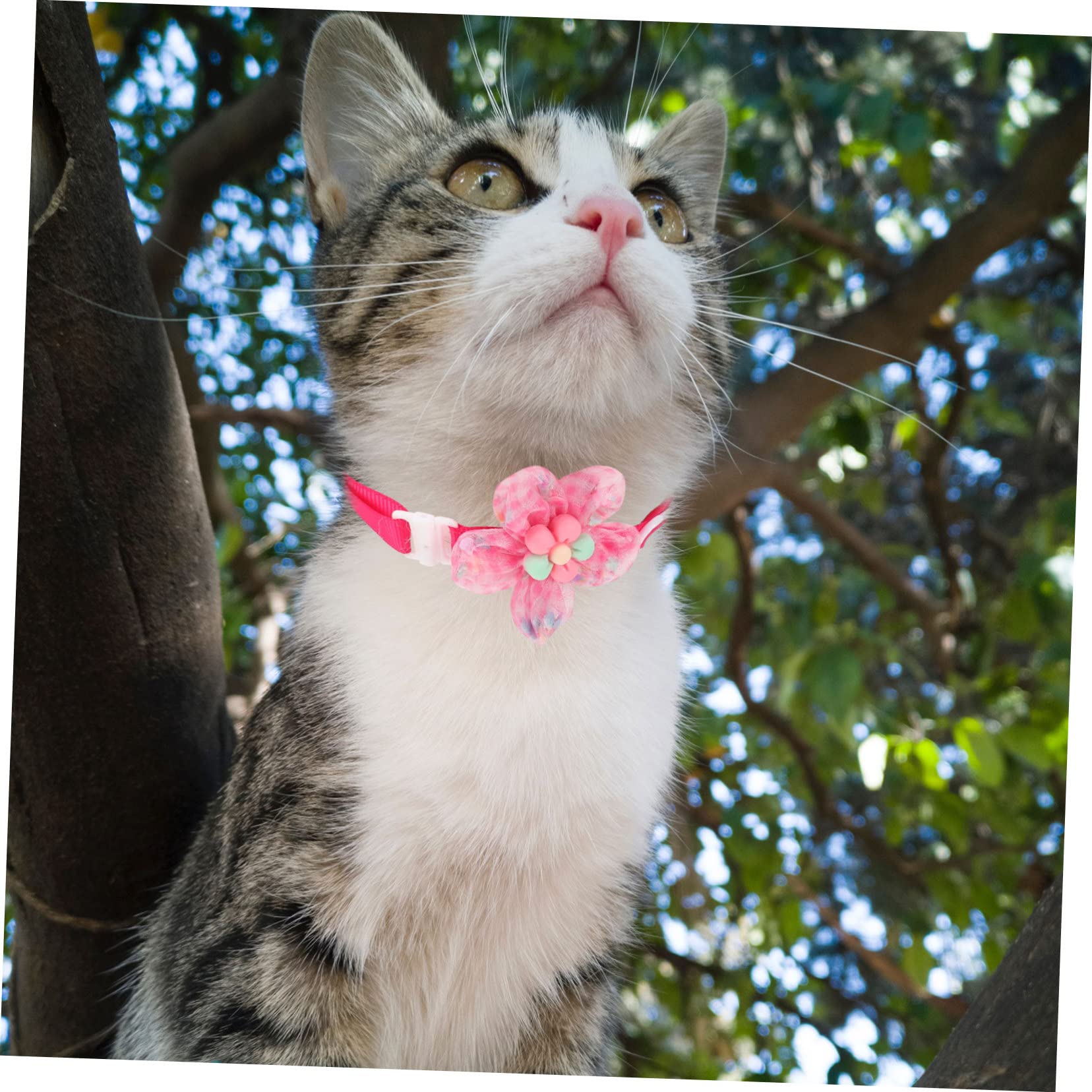 VANZACK 30pezzi Collare Per Gatti e Cani Design Di Fiori e Lavabile Decorazione Per Animali Domestici Collare Morbido e Traspirante Accessorio Festivo Per Cuccioli e Gatti