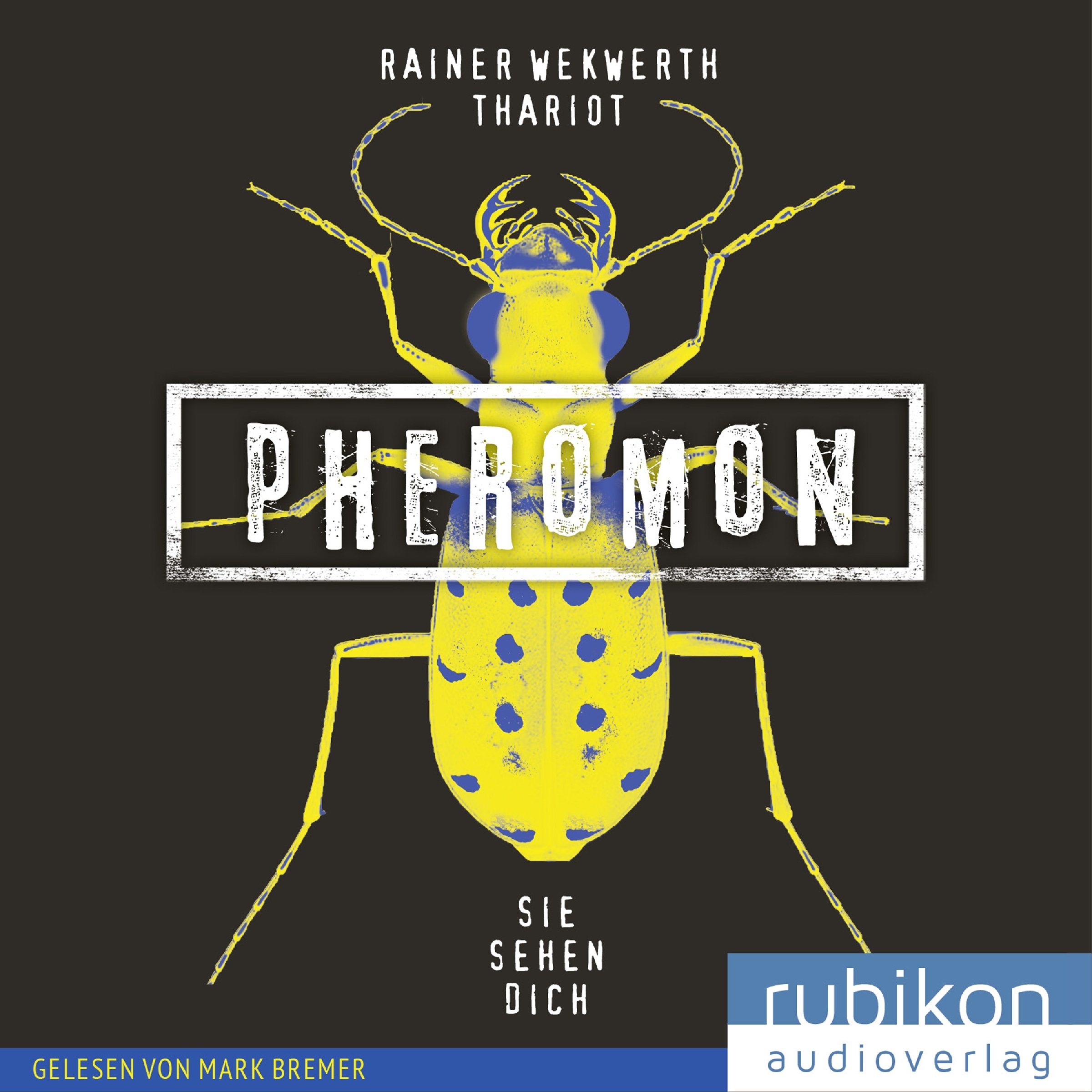 Cover art for Sie sehen dich