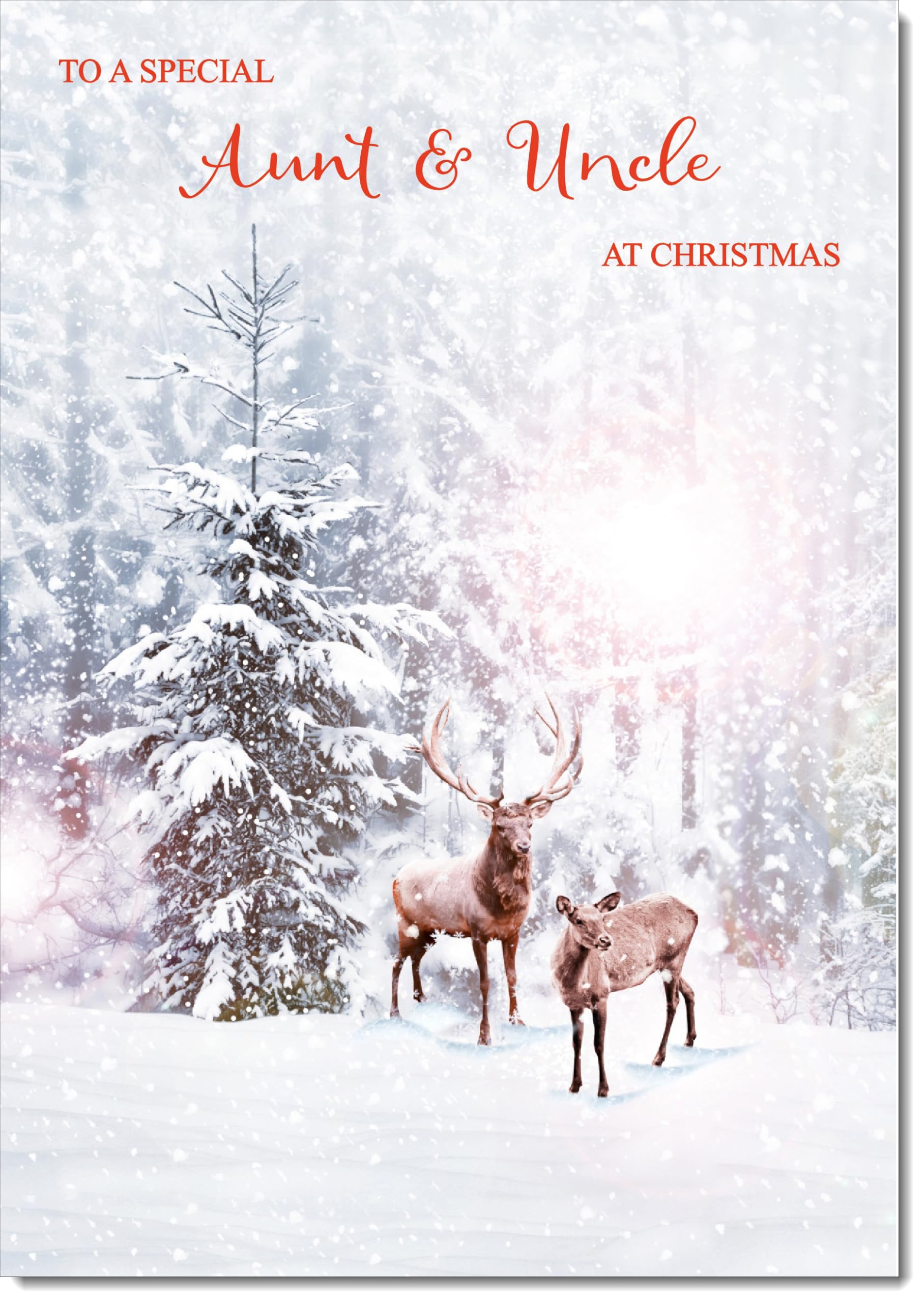 doodlecards Aunt and Uncle Christmas Card Deers in Forest Large A4 Size Christmas Card for Aunt & Uncle with Plain Envelope
