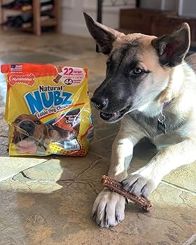 Nylabone Natural Nubz Dog Treats, Allergen-Free Peanut Butter Large 30 Lbs 18 Count