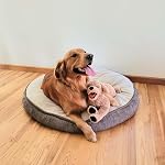 LotFancy 21'' Dog Stuffed Animals Plush, Soft Cuddly Golden Retriever Plush Toys, Large Stuffed Dog, Puppy Dog Stuffed Animals, Mother's Day, Birthday, for Kids, Pets, Girls