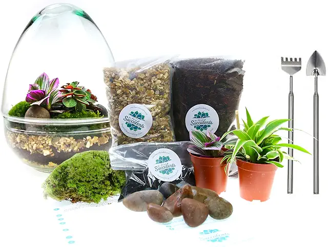 Glass Egg Closed Terrarium Kit with Plants & Tools for Reptiles