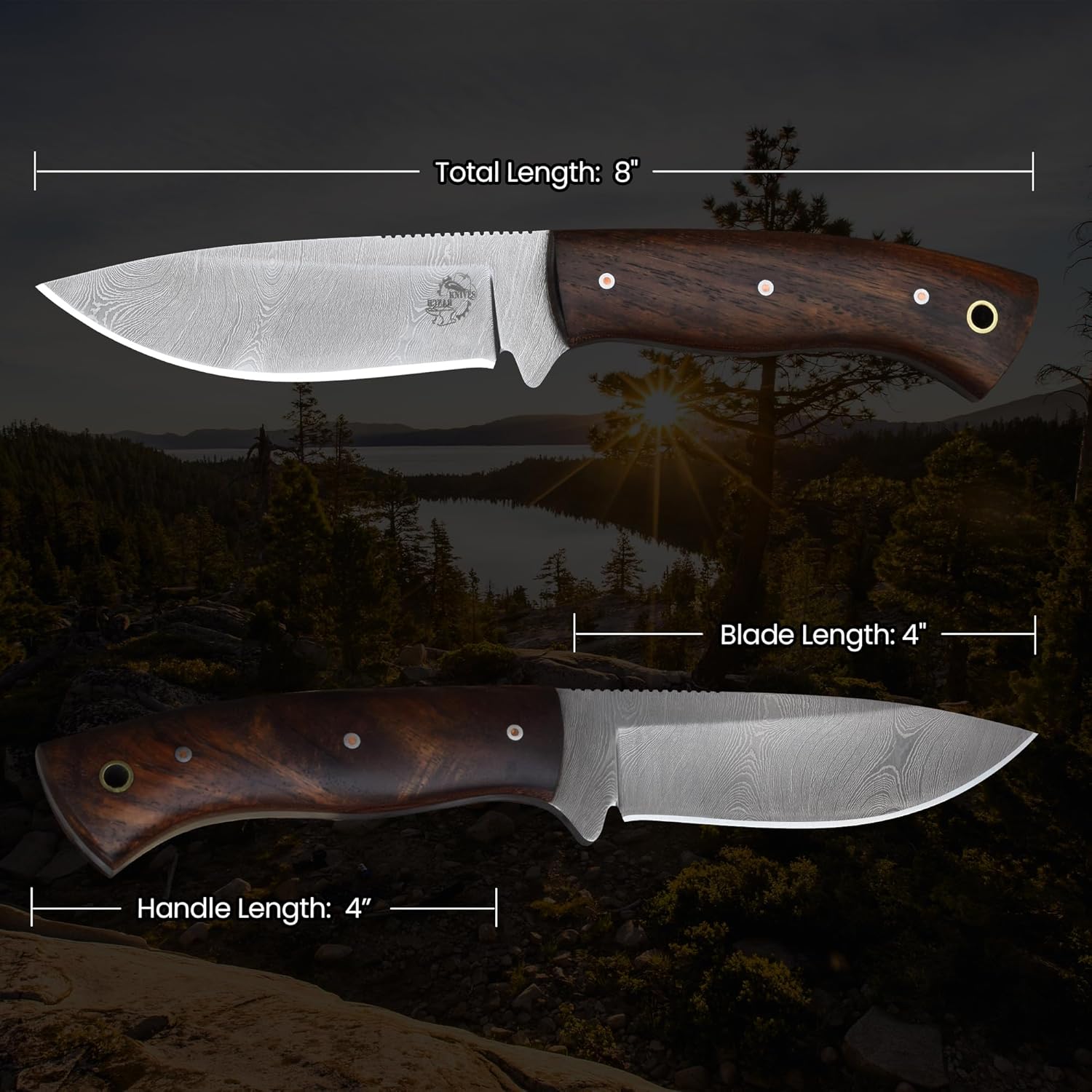 Knives Ranch Handmade Cardinal Bushcraft Damascus Steel Knife with Rosewood Handle and Heavy-duty Leather Sheath