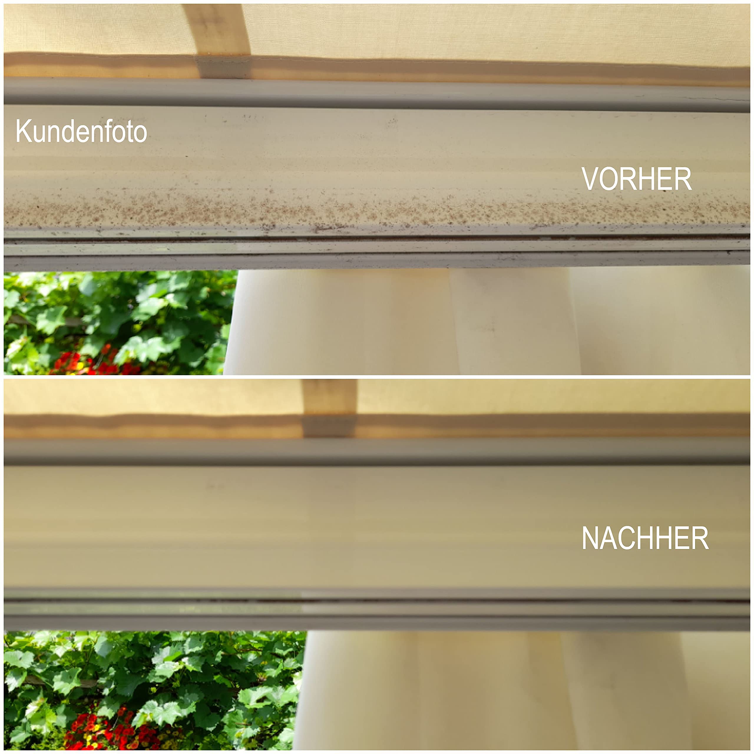 CleanPrince 10 Liter Multi Kraftreiniger | Motorradreiniger Intensivreiniger Fett Öl Schmutz Fahrrad Werkstattreiniger