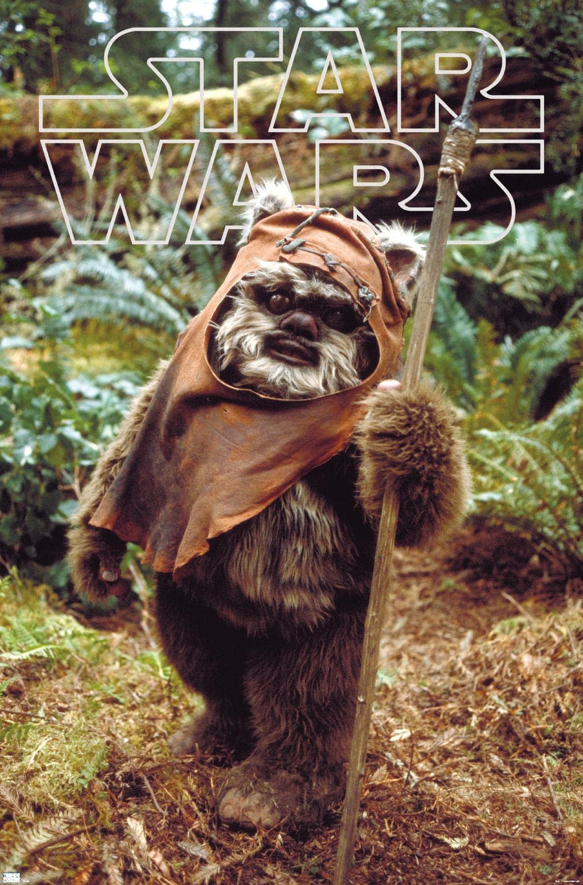 Star Wars: Return of the Jedi - Wicket W. Warrick Wall Poster, 34L" x 22.4W", Premium Unframed Version