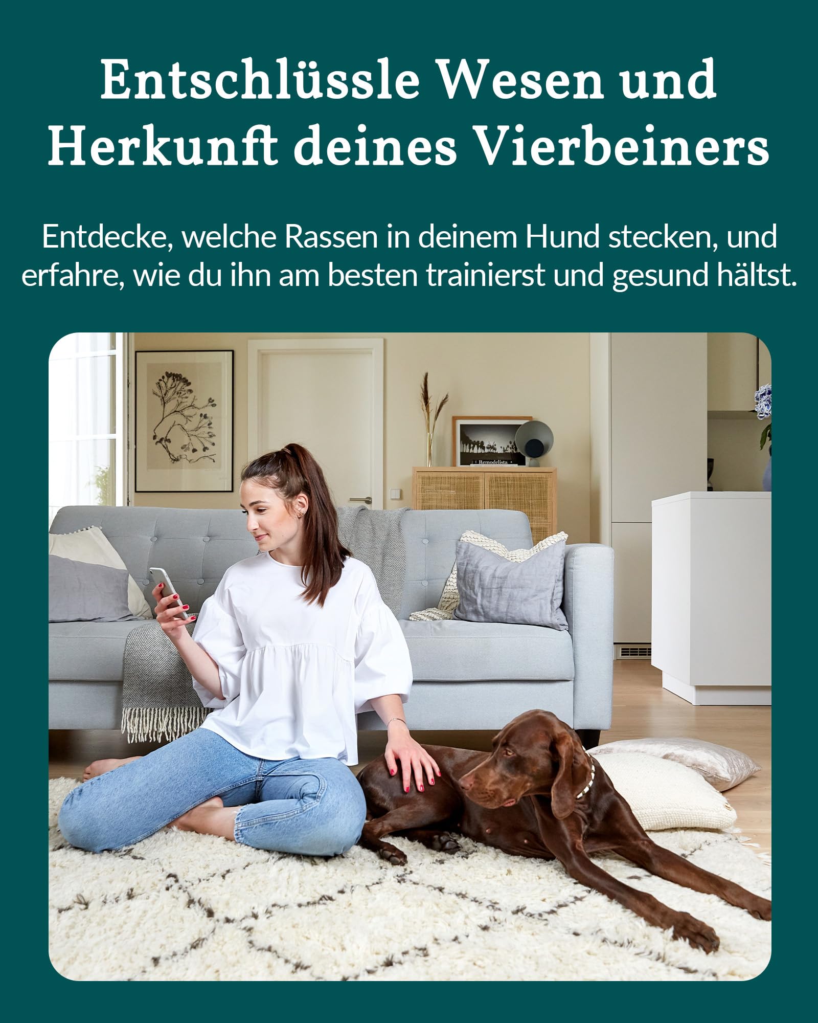 vetevo DNA Test Hund - Rassenbestimmung & MDR1 Gendefekt - 400+ Rassen | Speichelprobe bequem von zu Hause, Auswertung in der vetevo App, sorgfältige & verlässliche Laboranalyse