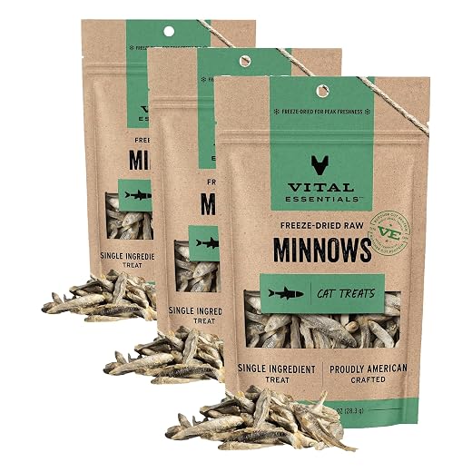 Vital Essentials Freeze Dried Minnows Cat Treats | Single Ingredient | Premium Quality | Grain Free, Healthy Treats for Cats, 1 oz Bag (Pack of 3)