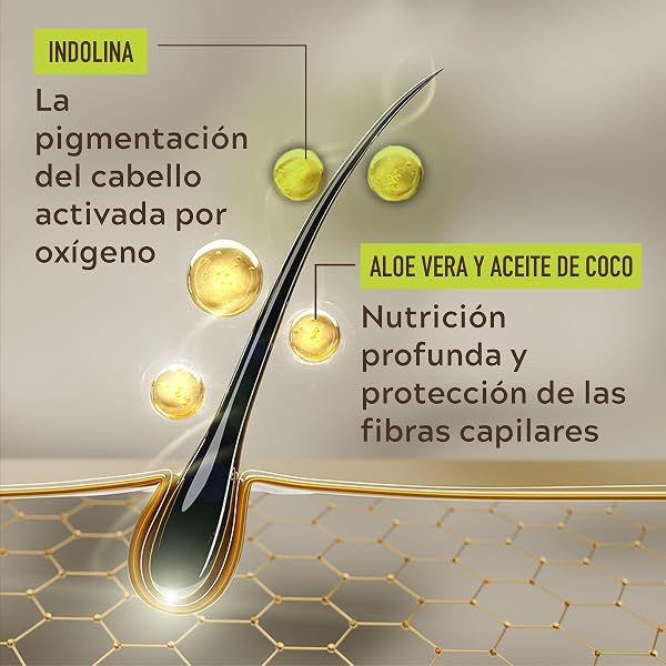 Just For Men Control GX Champú Reductor de Canas para Hombre, Reduce Las Canas Gradualmente en Cada Lavado, Con Aceite De Coco Y Aloe Vera, Para Todos Los Tonos, 118ml - 4