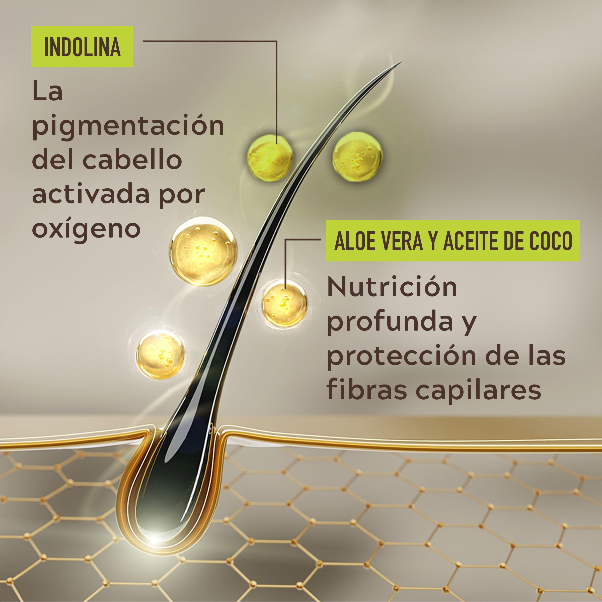 Just For Men Control GX Champú Reductor de Canas para Hombre, Reduce Las Canas Gradualmente en Cada Lavado, Con Aceite De Coco Y Aloe Vera, Para Todos Los Tonos, 118ml — view 4
