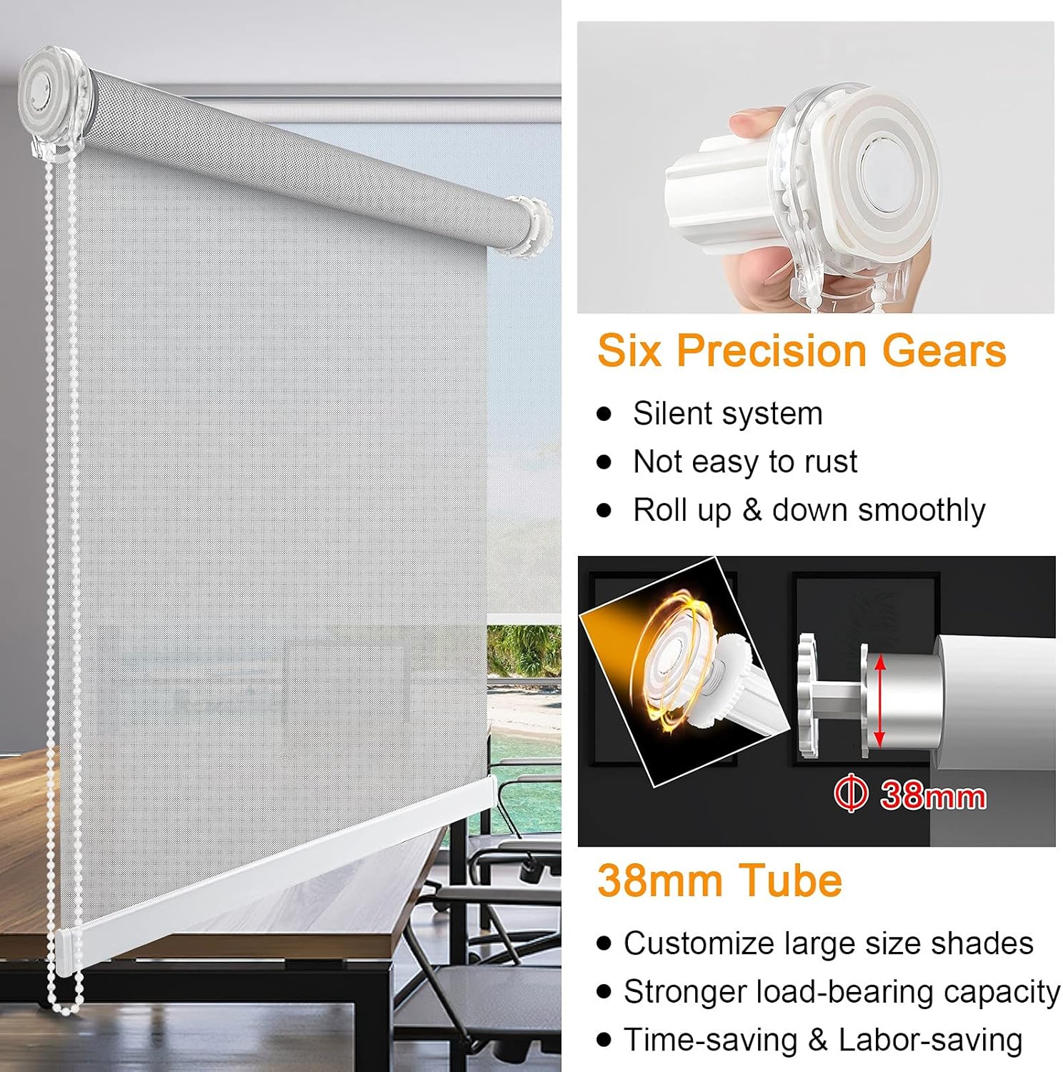 北海道産みやまからす揚羽 春型 未展翅 オス300頭 北海道産みやまから