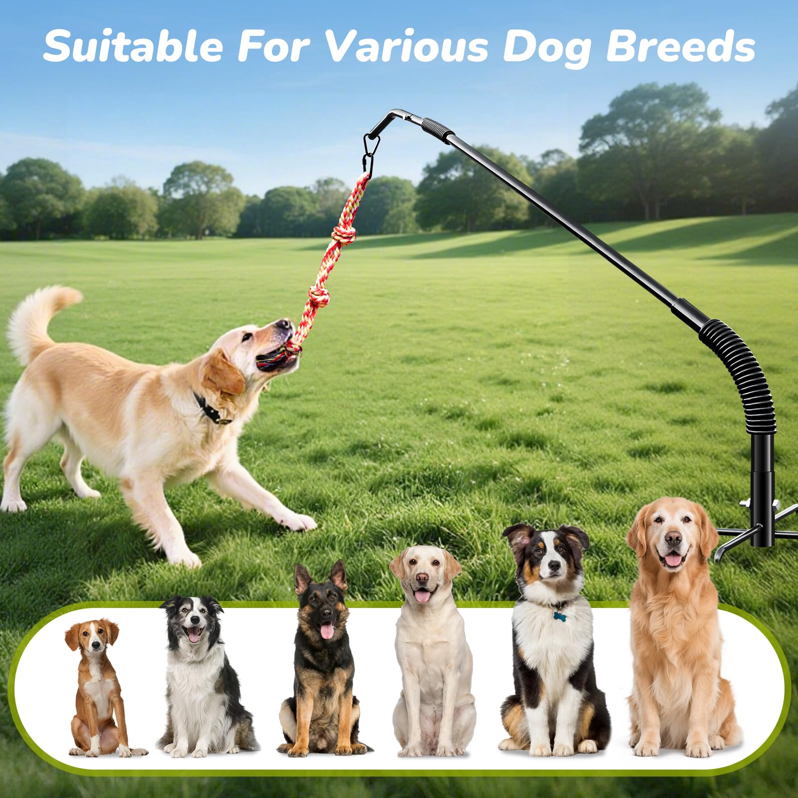 Juguete de cuerda para perros de rotación de 360°, juguete de cuerda para perros de ejercicio en patio/parque/césped, entrenamiento de perros, 3 juguetes de cuerda, 2 postes de resorte reforzados