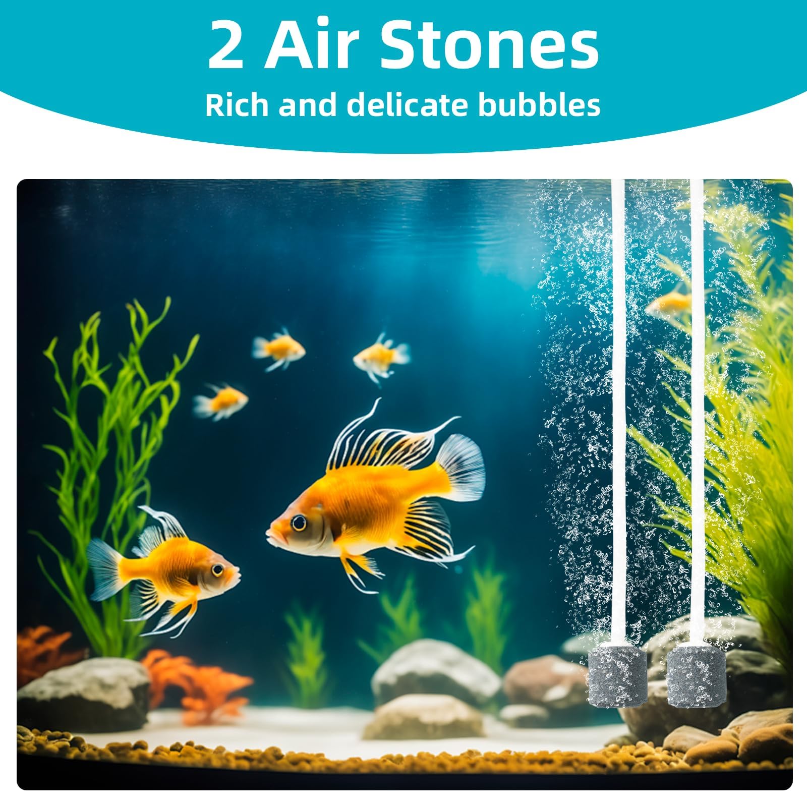 Pompes à air solaires, charge Type-C et charge solaire disponibles, oxygénateur 5W Pompe à air pour aquarium Aérateur de pêche avec tuyau Pierres à bulles d'air, pompe à oxygène solaire pour