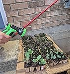 Review Image by WSPIE