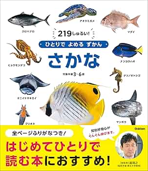 さかな 自己紹介読んで下さい non・no 1987年 No.11 389192.jpg