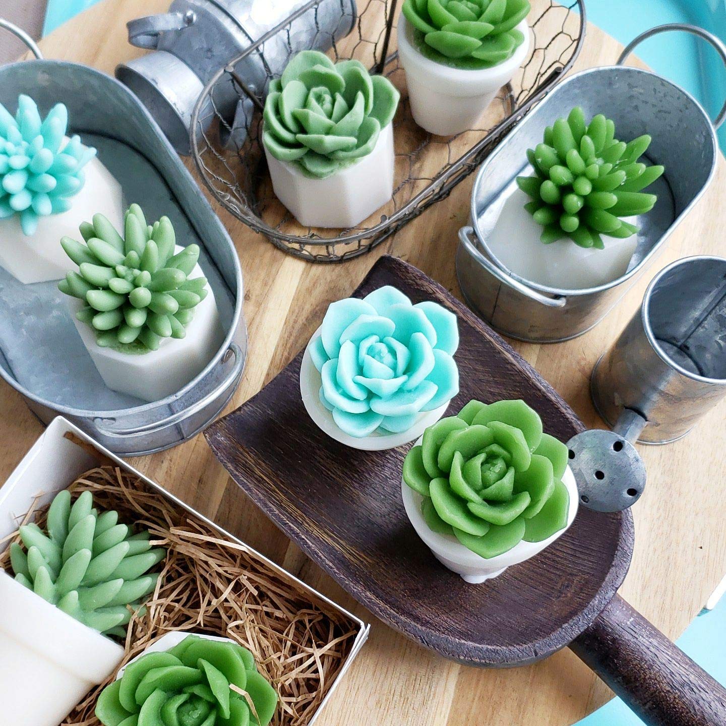 succulent planter box Love Planter Succulent Arrangement  Just Succ It