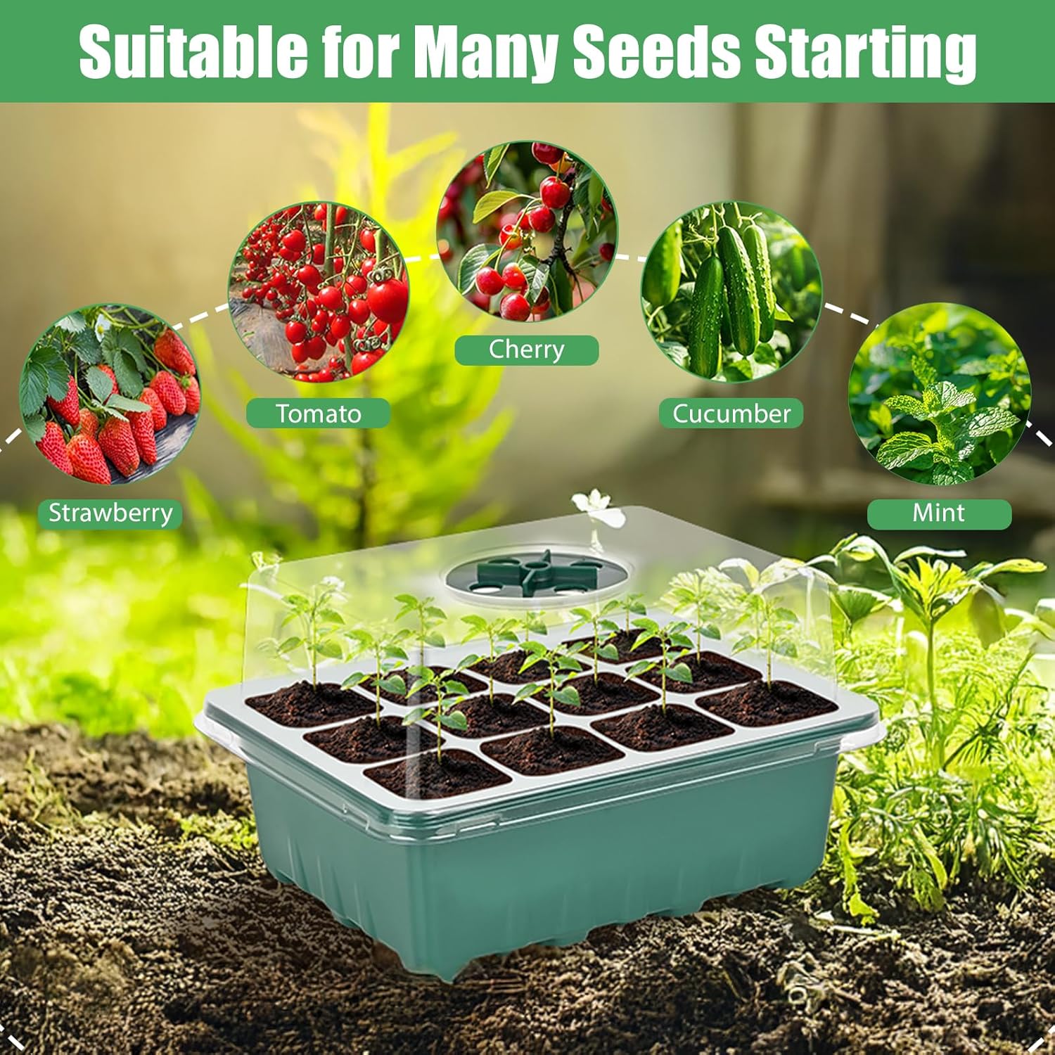 Sckee 6 Pack Seed Starter Tray with 10"x20.75" Seedling Heat Mat, Seed Starter Kit with Humidity Dome, Seed Starting Trays Plant Starter Kit and Base, Kit for Seeds Growing Starting