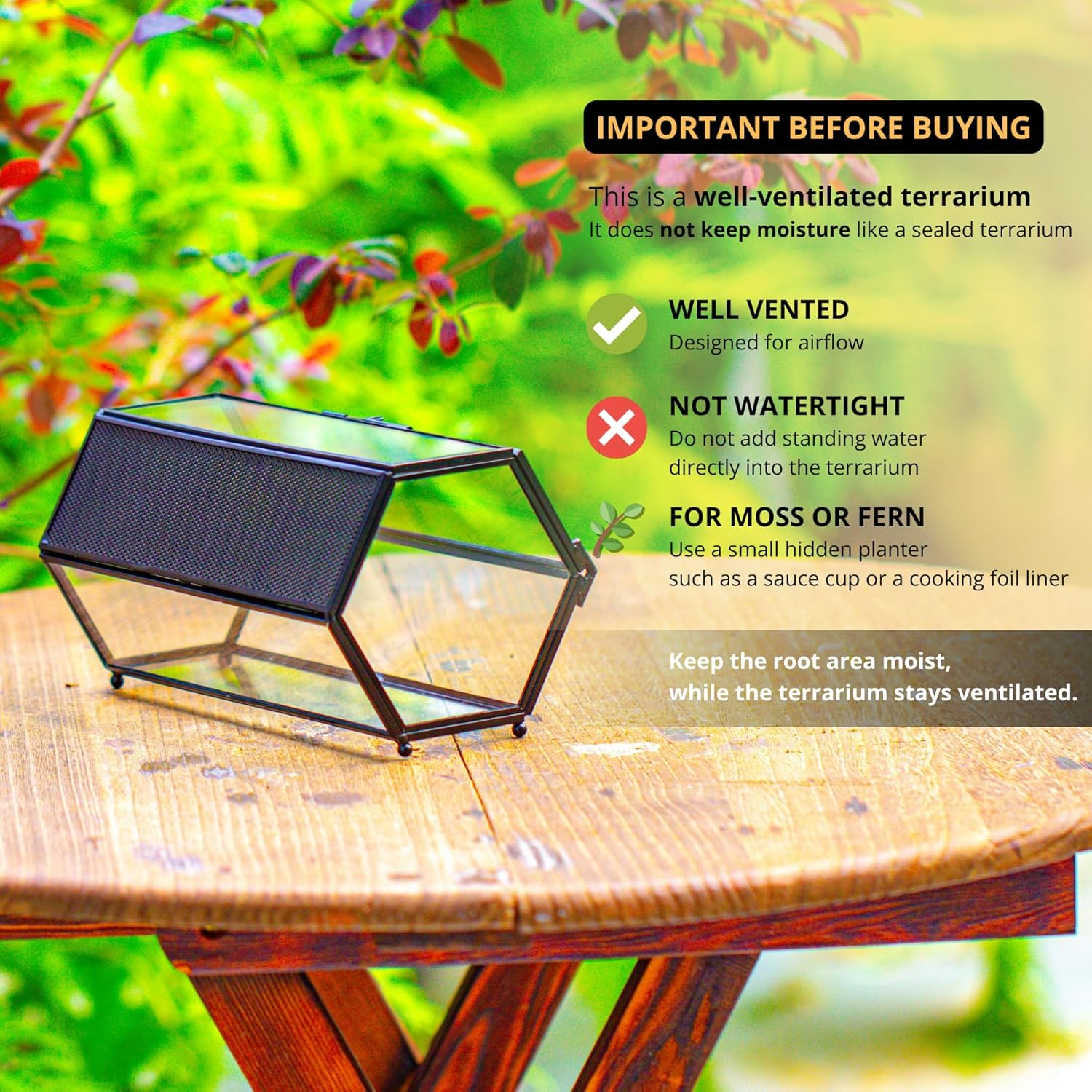 NCYP Small Glass Enclosure Terrarium with Mesh & Door for Tiny Beetle - Hexagon Jumping Spiders Vented Glass Terrarium 7.87'' x 4.52'' x 3.93'', Black (Plants Not Include)