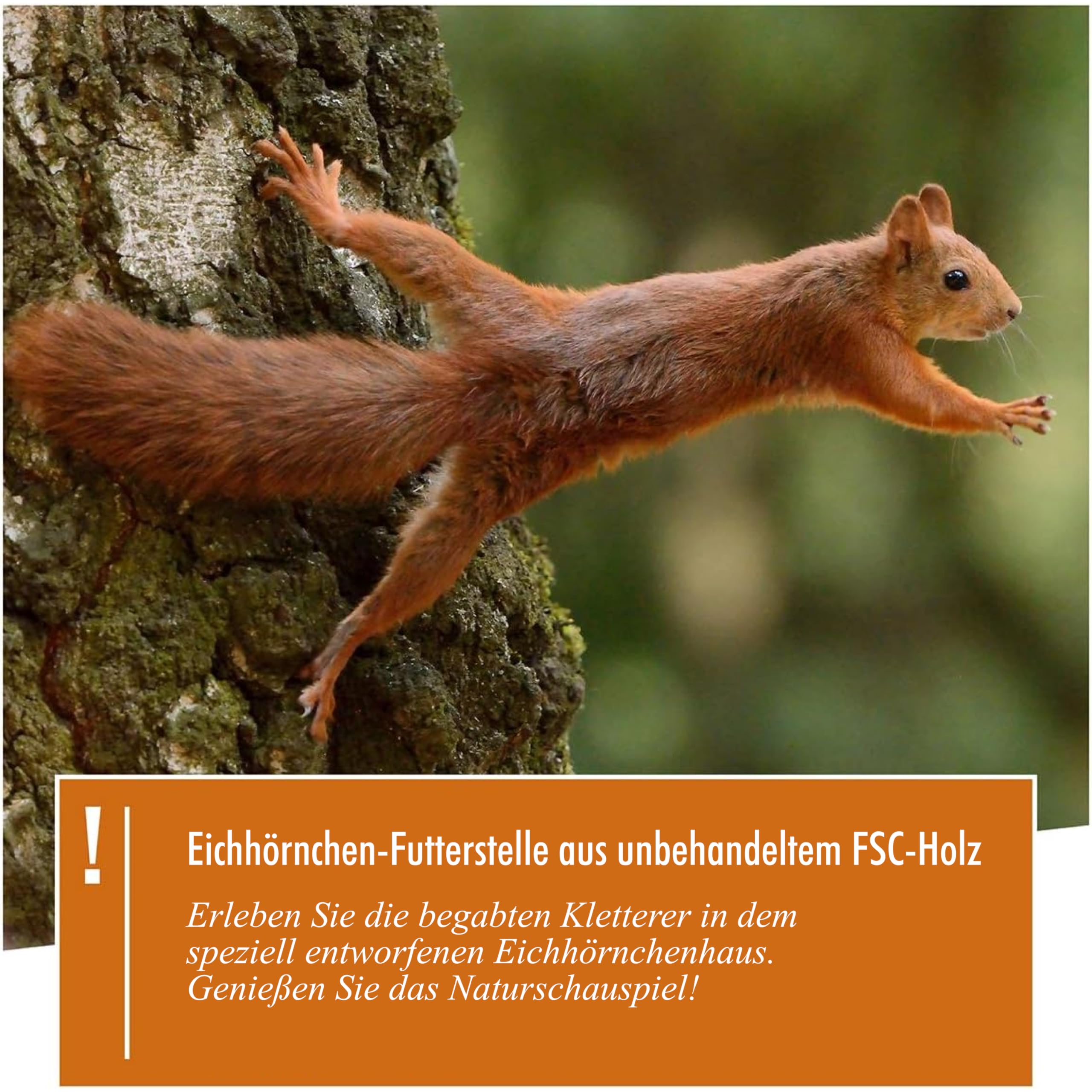 wildtier herz I Eichhörnchen Futterhaus Spielhaus wetterfest I Aus verschraubtem Massiv-Holz Futterstelle I 100% Wetterfest I Futterstation zum Eichhörnchen füttern, Futterhäuschen