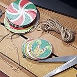 Review Image by Southern Reviewer Southern Reviewer