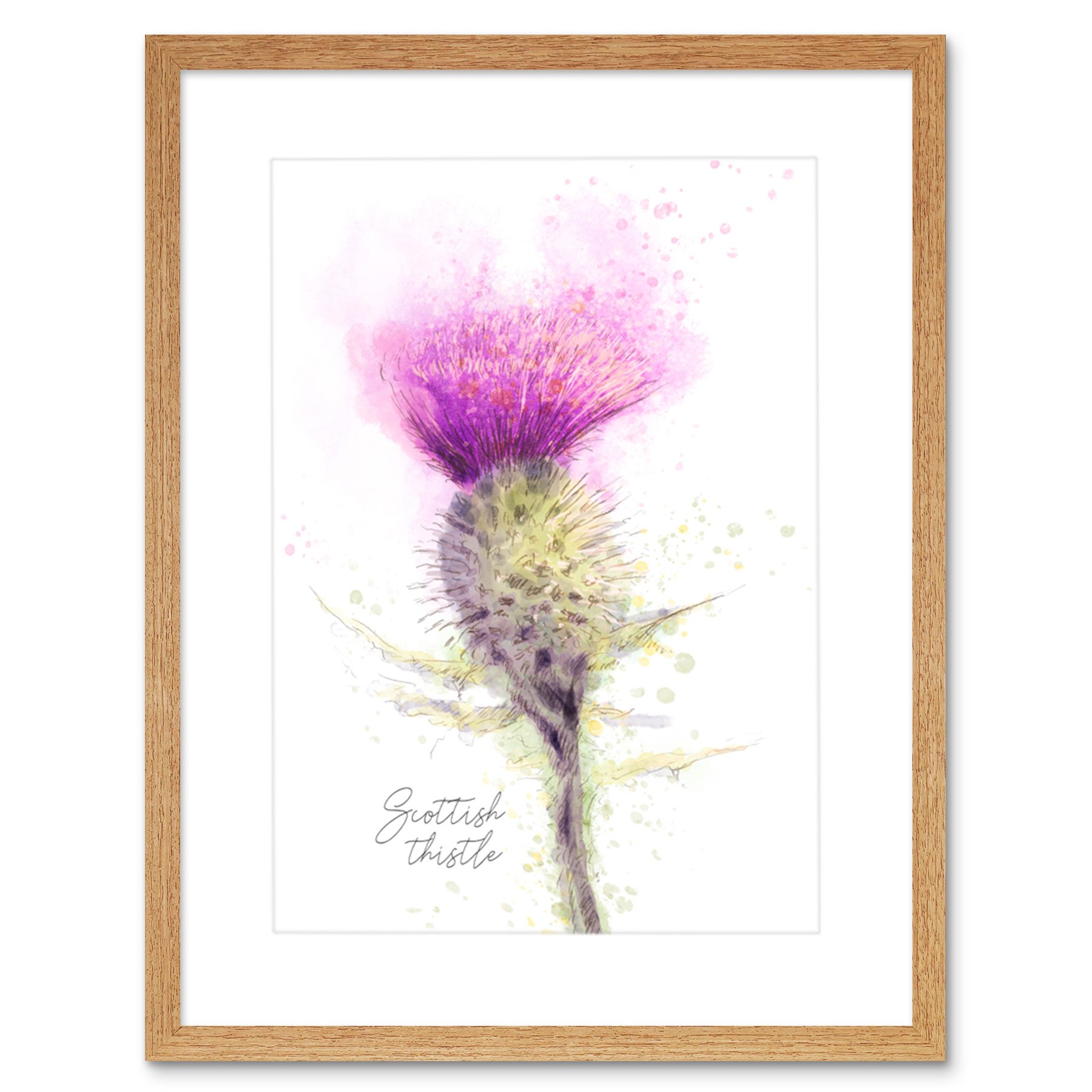 Scottish Thistle Floral Watercolour Illustration Framed Wall Art Print Picture - 12x16 inch - Artery8