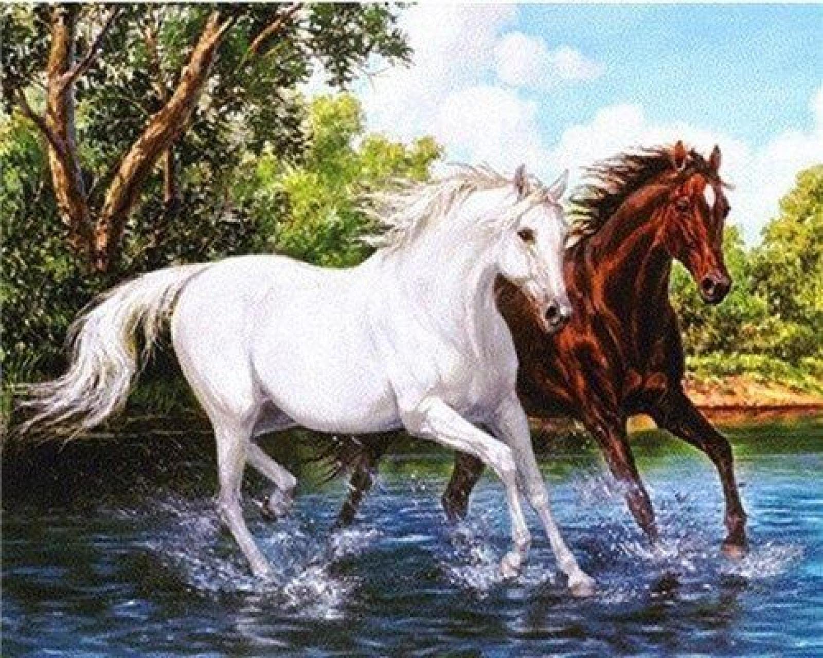 Peinture diamant cheval strass complet rond anti stress pour adulte