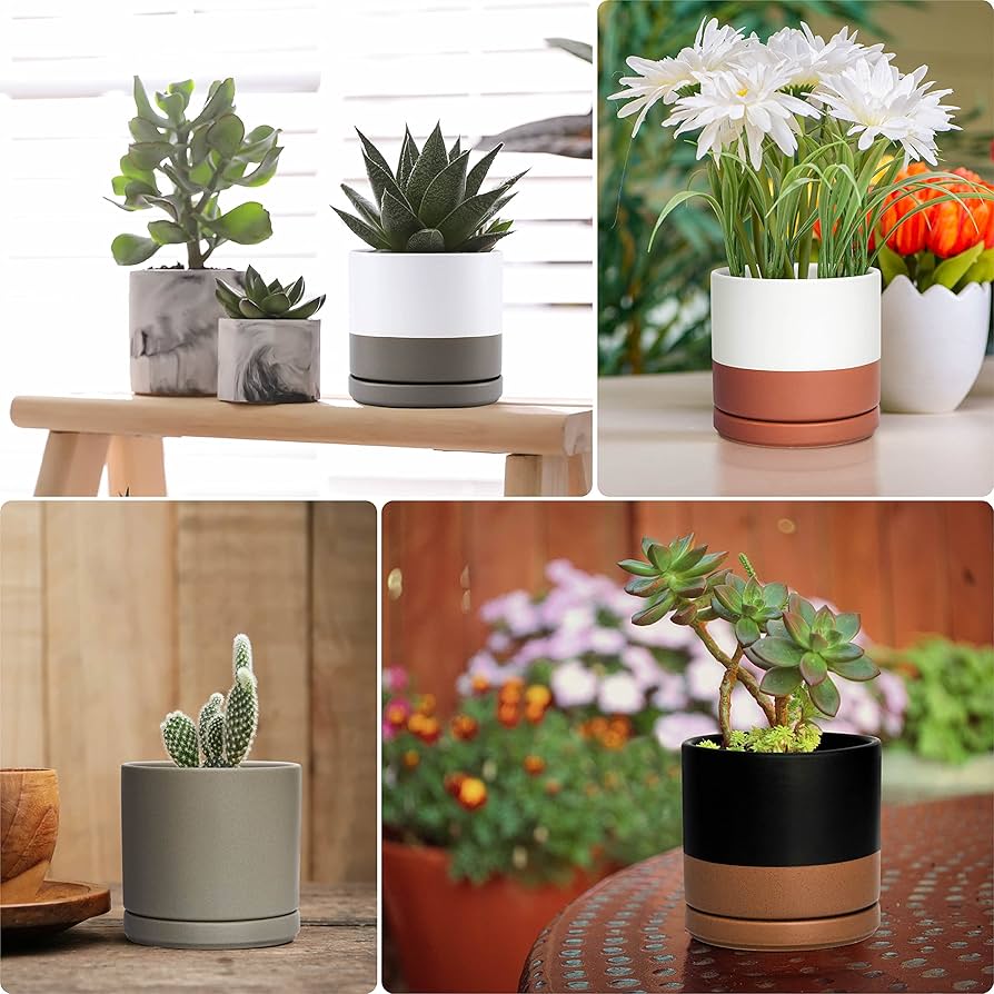 Amazon.co.jp: 小型多肉植物鉢 4.3インチ セラミックプランターポット