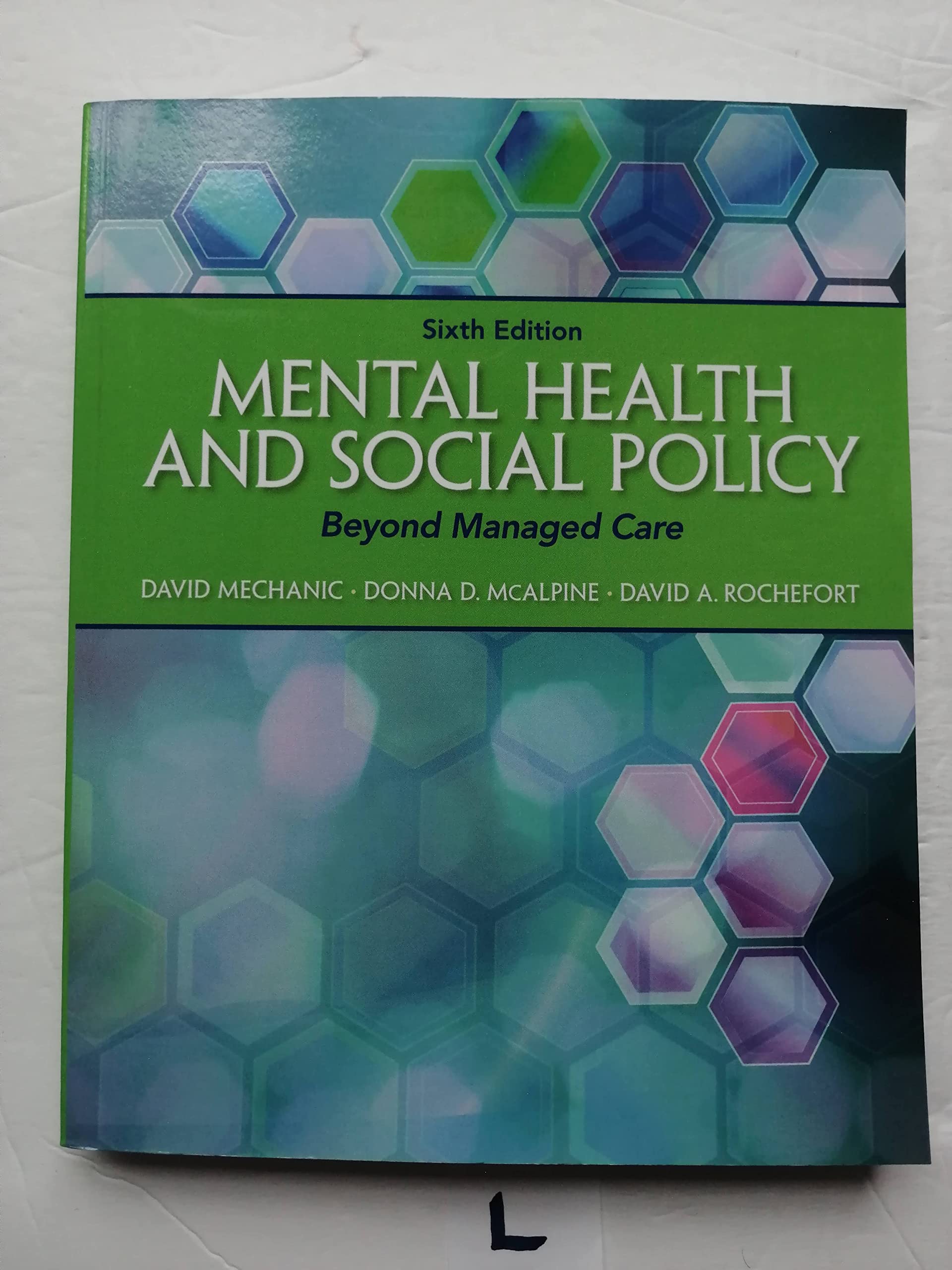 Mental Health and Social Policy: Beyond Managed Care (Advancing Core Competencies)