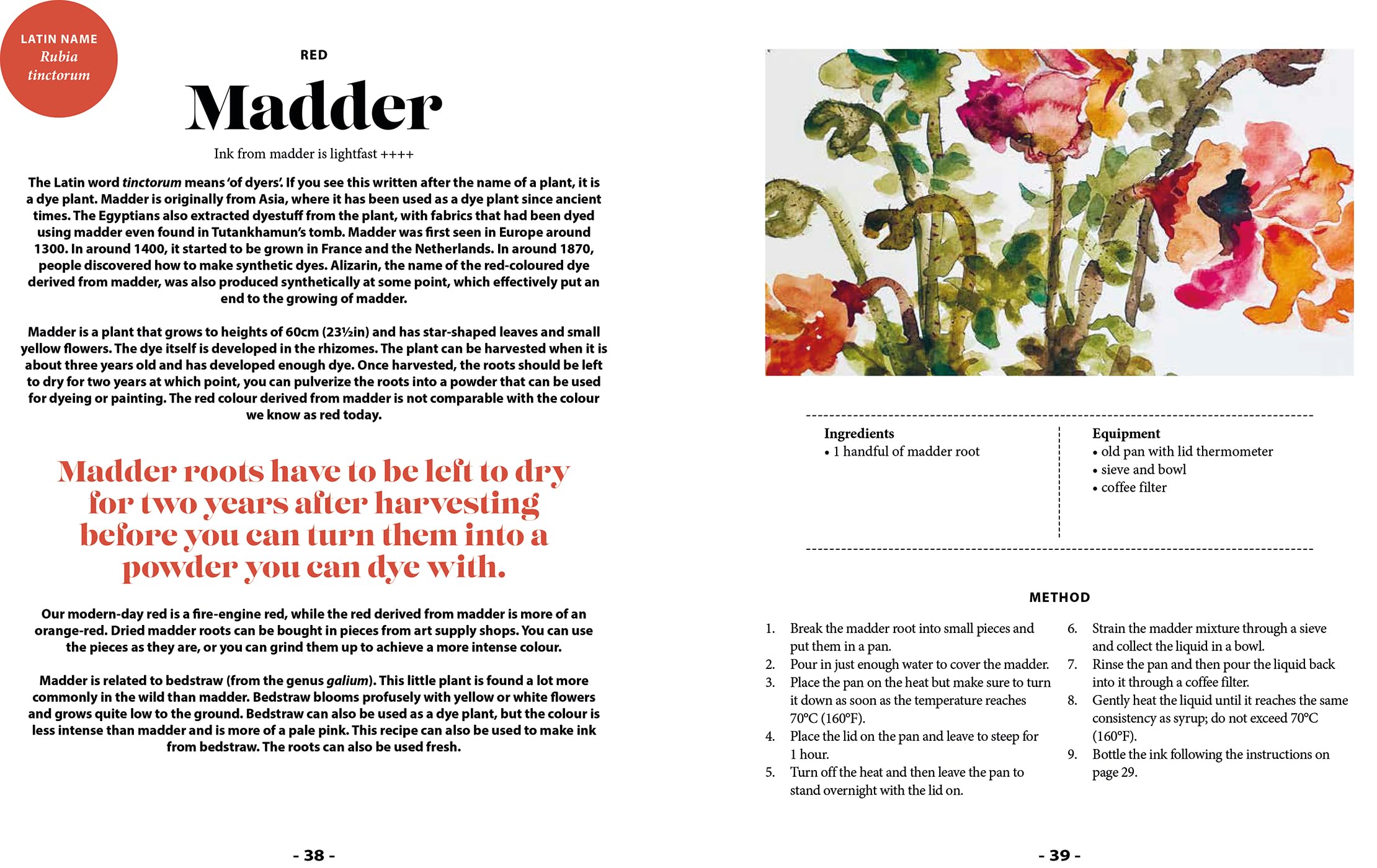 Plant and Ink: Make Your Own Plant-Based Ink