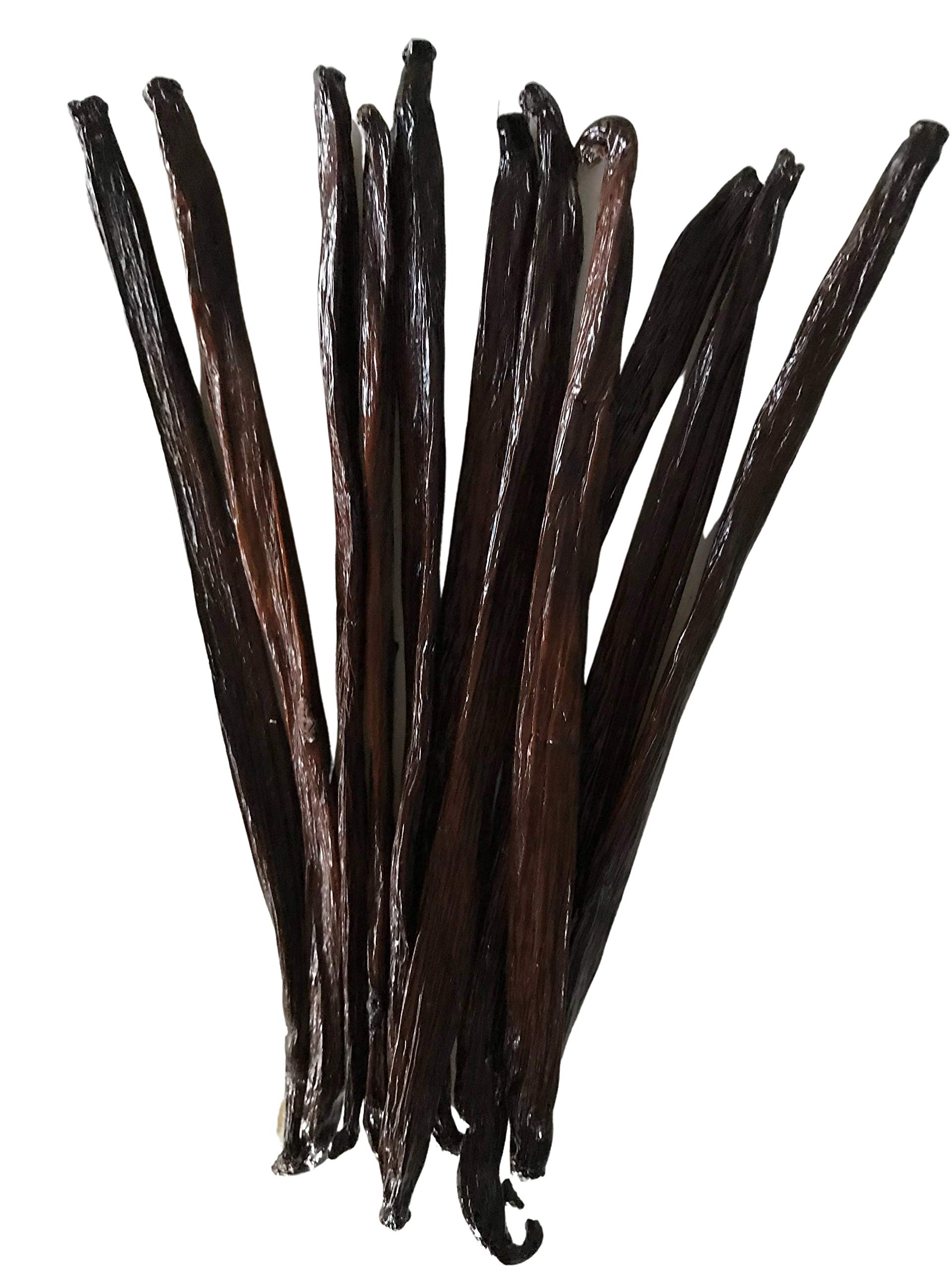 Vanilla Beans Tahitian Grade A for Baking Extract, Brewing, Paste, Cooking (11 ea) by FITNCLEAN VANILLA| ~6" Fresh Raw Natural NON-GMO Gourmet Whole Pods