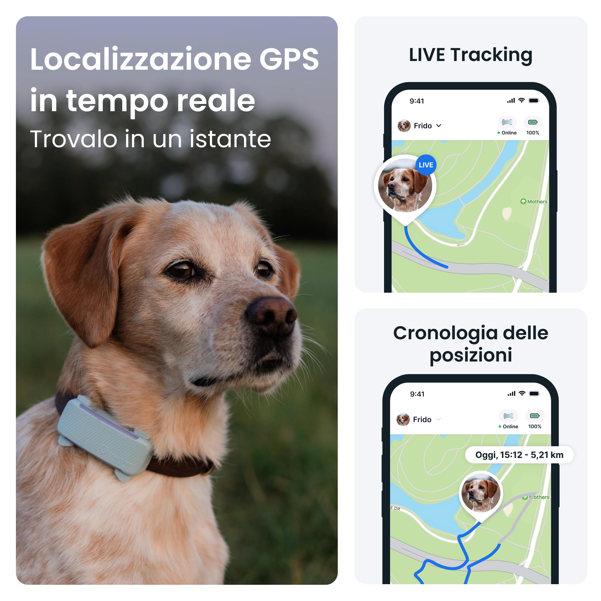 Tractive - GPS per cani | 2025 Edizione | N. 1 sul mercato | Localizzazione in tempo reale | Notifiche antifuga | Monitoraggio dell'attività | Avvisi di salute | Monitoraggio degli abbai (Menta)
