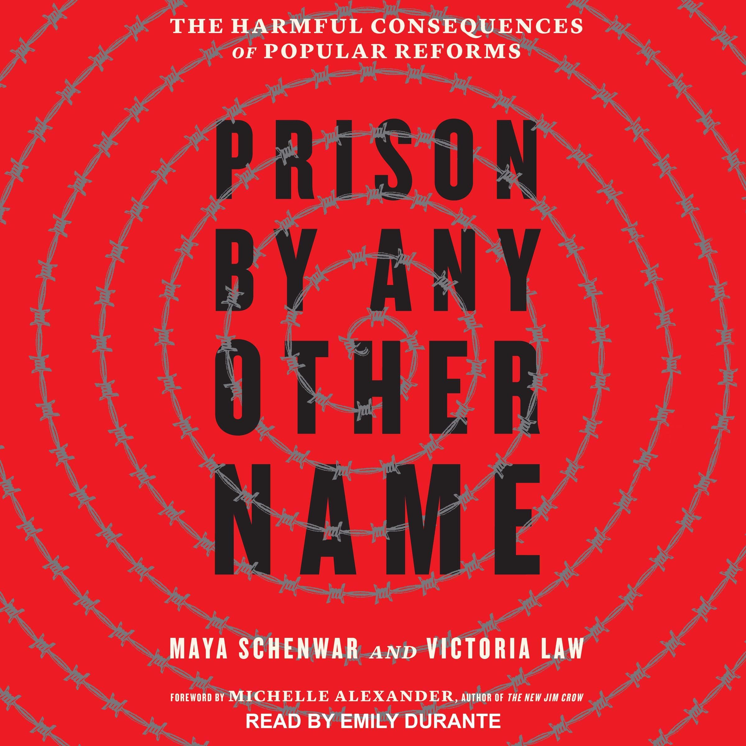 Cover art for Prison by Any Other Name
