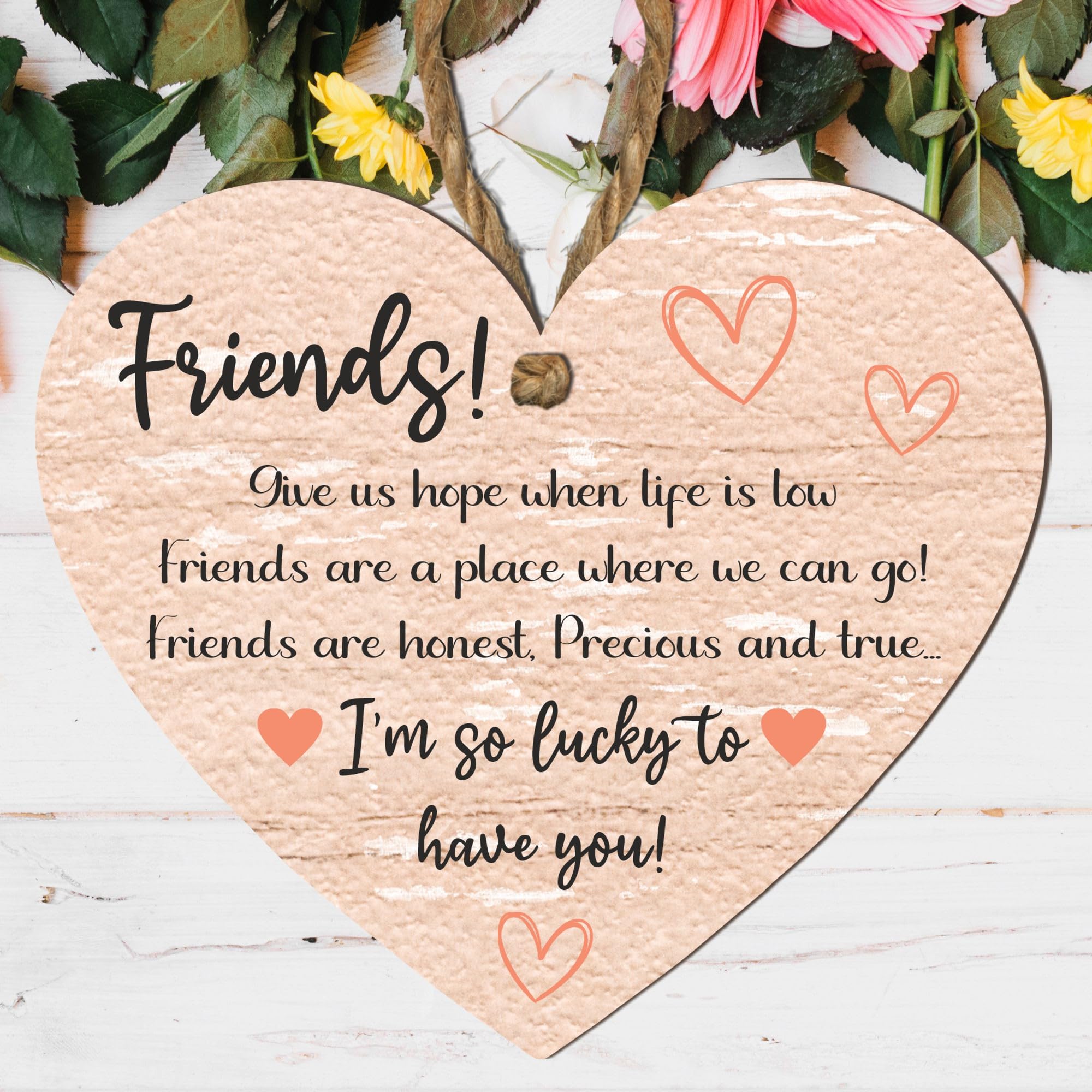 Heart Shaped Friendship Plaques - Inspirational and Funny Quotes - Gifts For Best Friend - Shabby Chic Hanging Decorations Multiple Designs Available (Design 6, Large: 23 cm (H) × 20 cm (W))