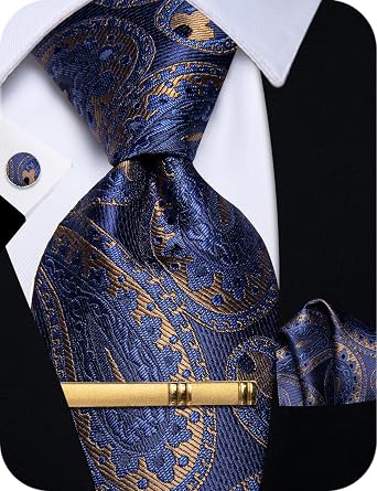 YourTies Silk Ties for Men Plaid Paisley Floral Necktie Pocket Square Cufflinks Tie Clip Set Wedding Party Business Formal