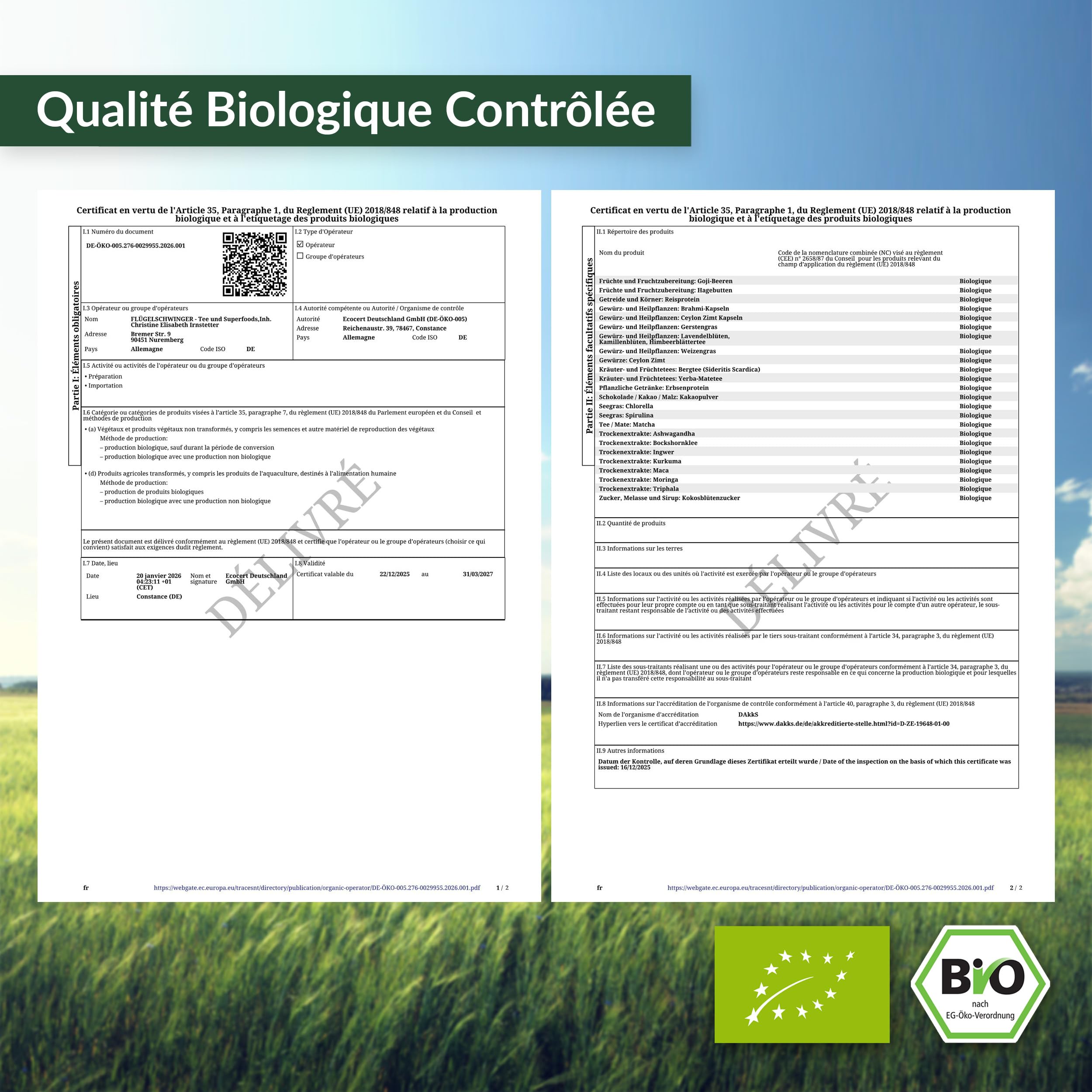 500g de poudre d'herbe de blé BIO d'ALLEMAGNE, qualité crue, issu de jeunes herbes, sans additifs, pour smoothies verts