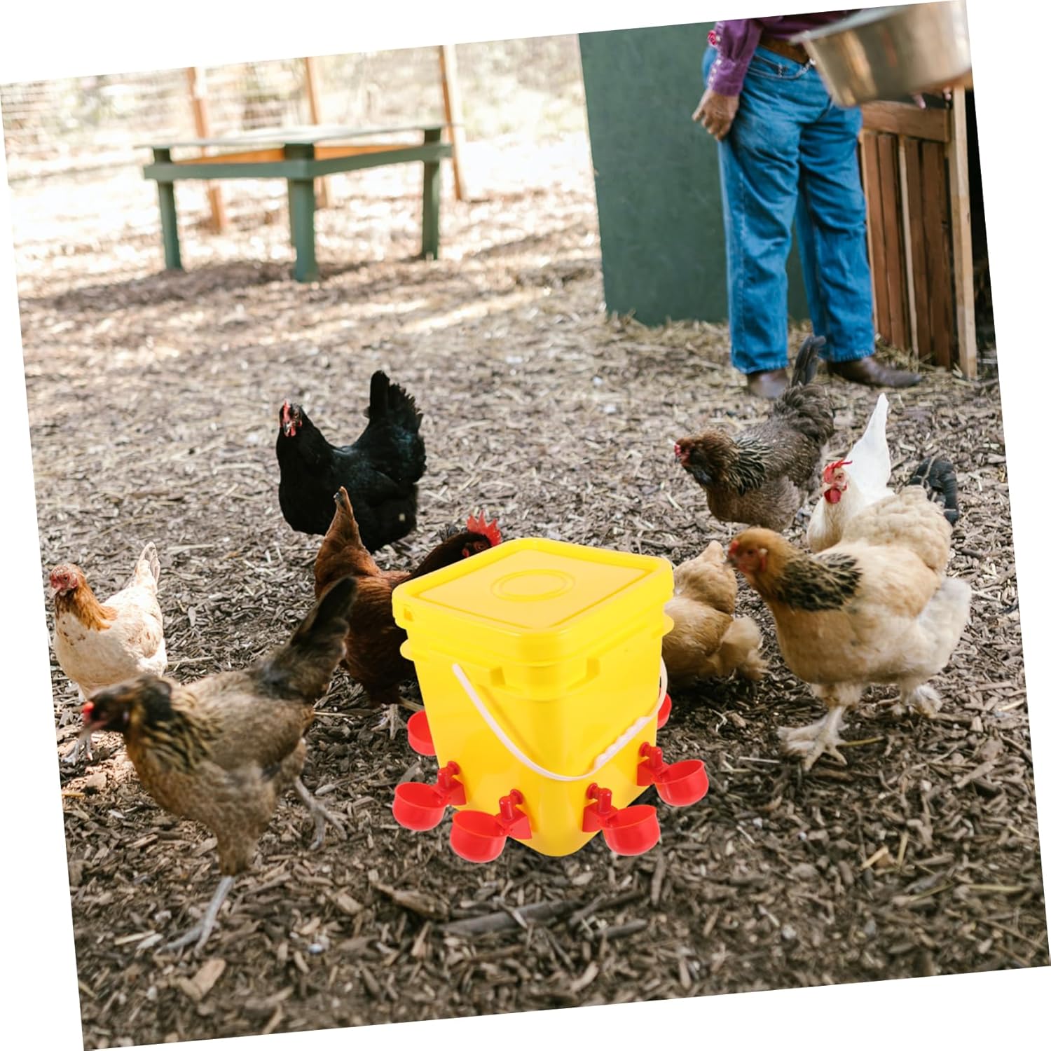Portable Chick Feeder Automatic Chicken Trough Poultry Feeder for Chickens