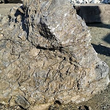 Amazon.co.jp: 石灰岩294キロ庭石鑑賞石石盆石水石灯籠庭坪庭