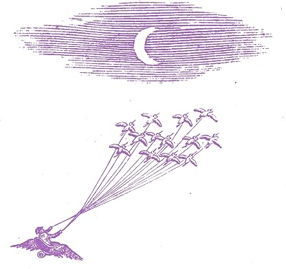 Migration Magic por Artista não identificado — capa do álbum