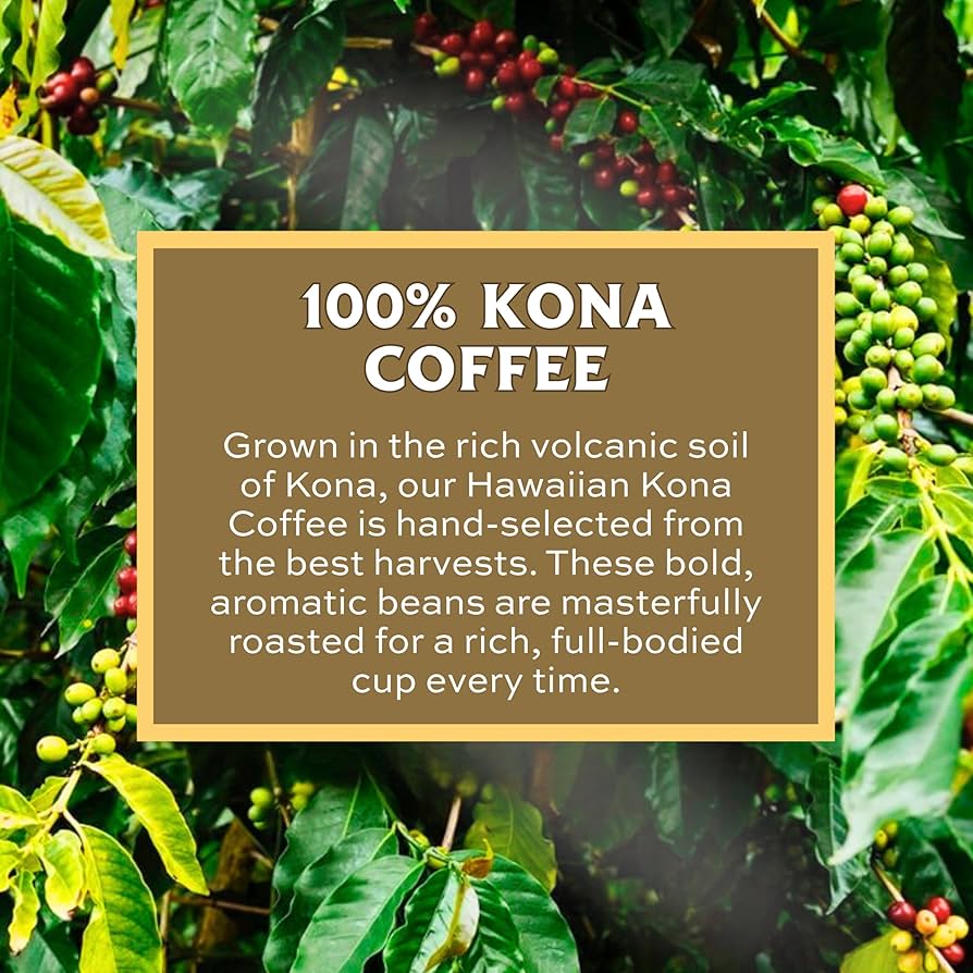 Amazon.com : Lion Coffee 24K Gold Roast 100% Kona Whole Bean