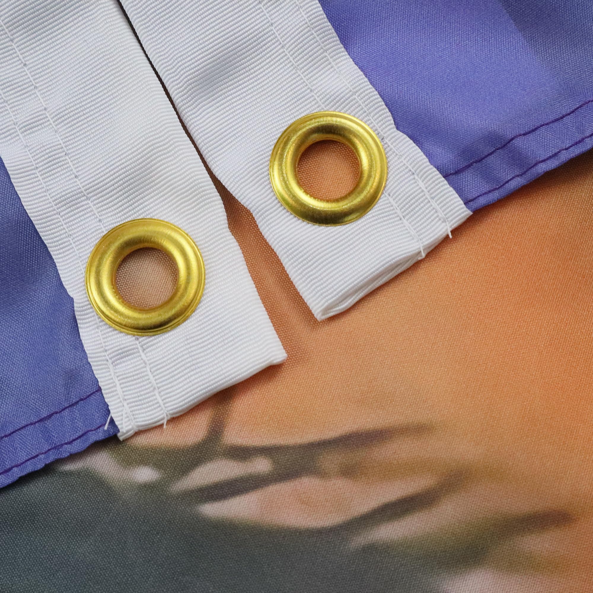 Image secondaire de Drapeau Indien d'Amérique avec Loup - 150x90 cm en Polyester