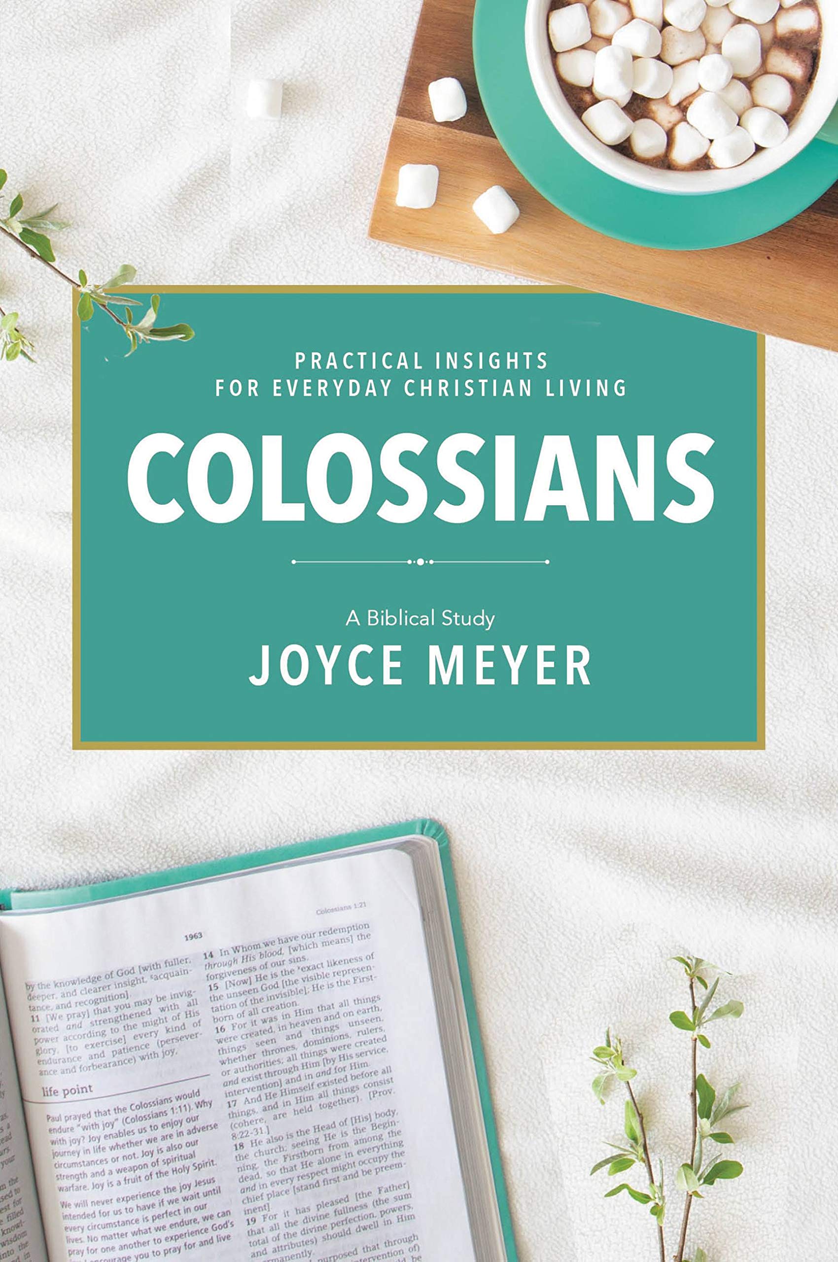 Colossians: A Biblical Study by Joyce Meyer PAPERBACK 9781546026129